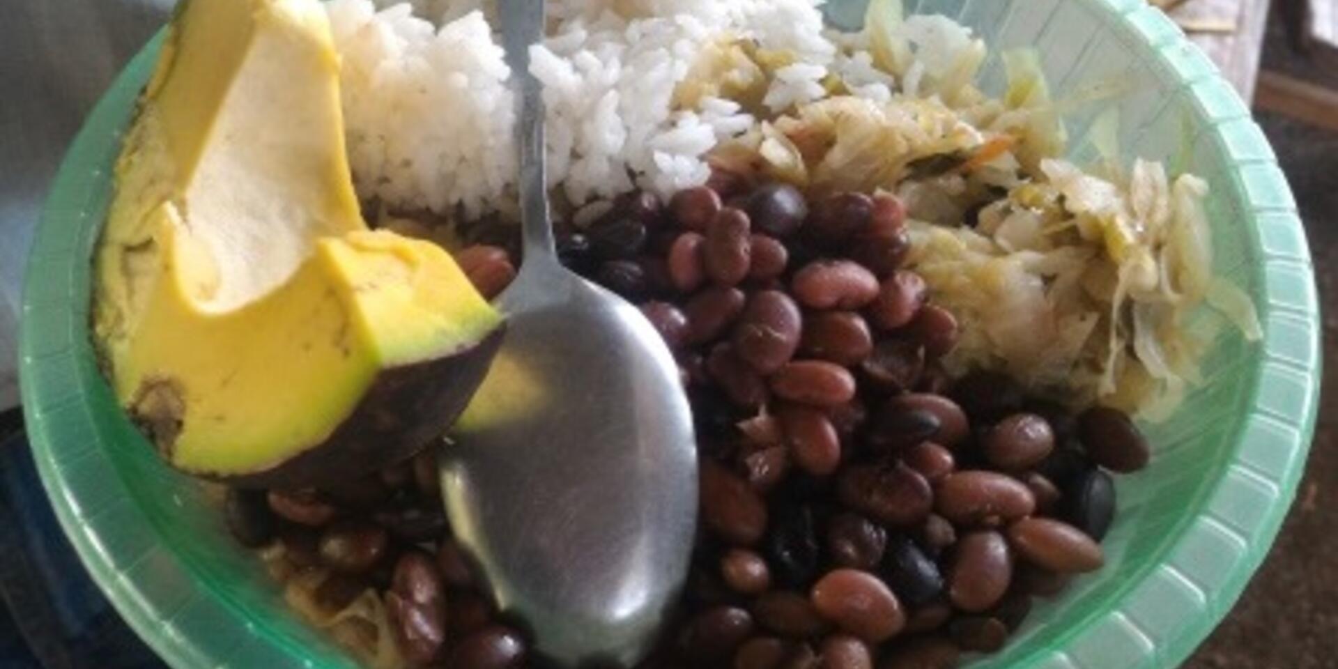 Enabled or disabled: is the environment right for using biodiversity to improve nutrition?