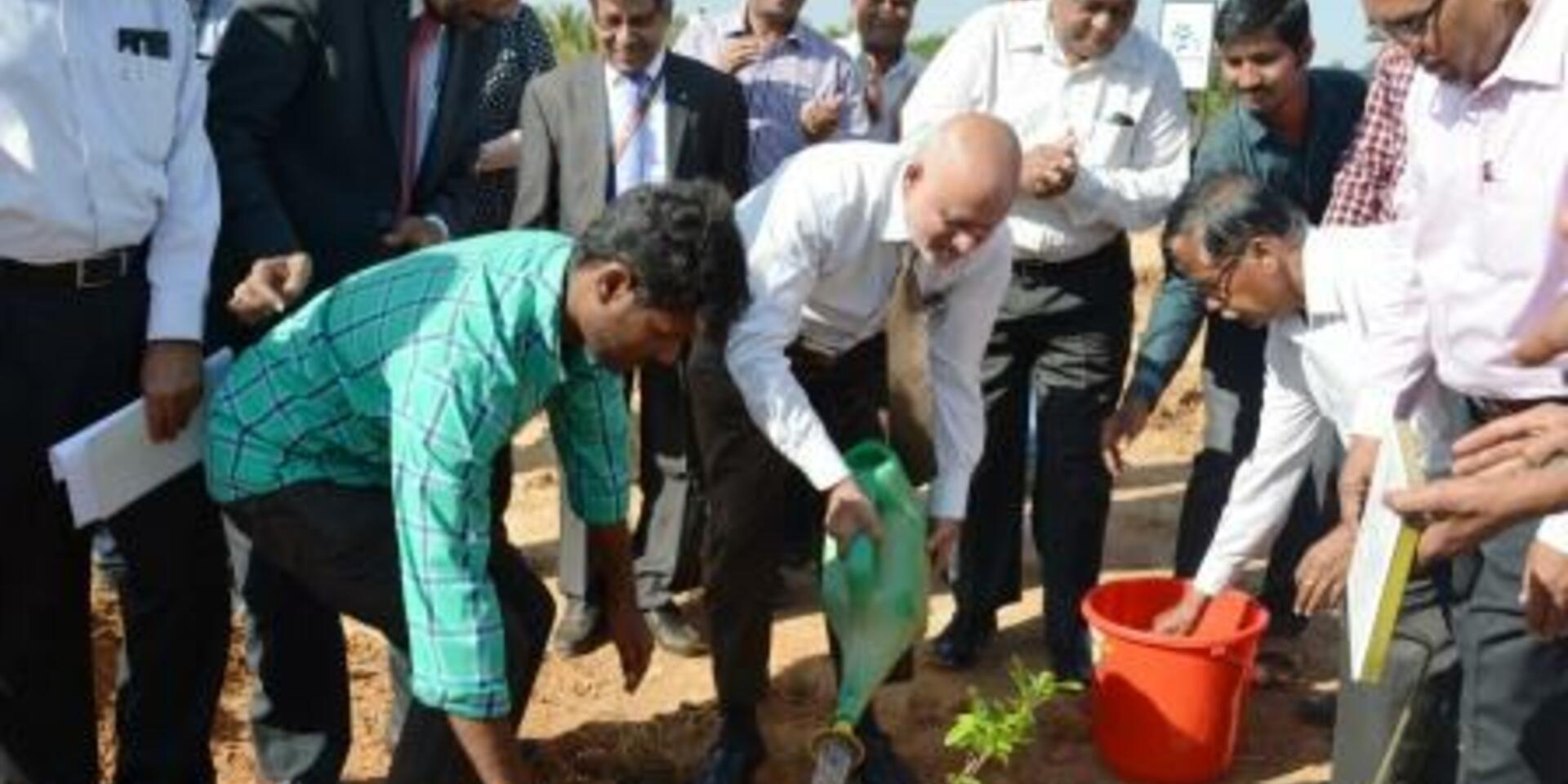 Fruits of labour: One year after establishing genetic garden in Bengaluru, India