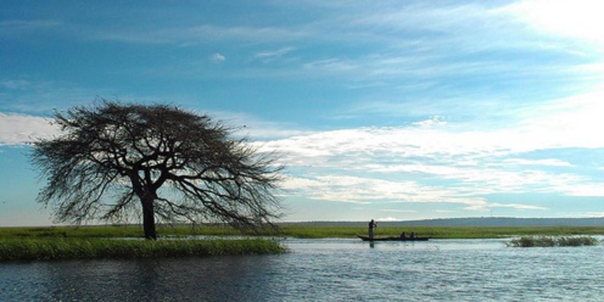 Assessing agricultural biodiversity in Borotse floodplain, Zambia