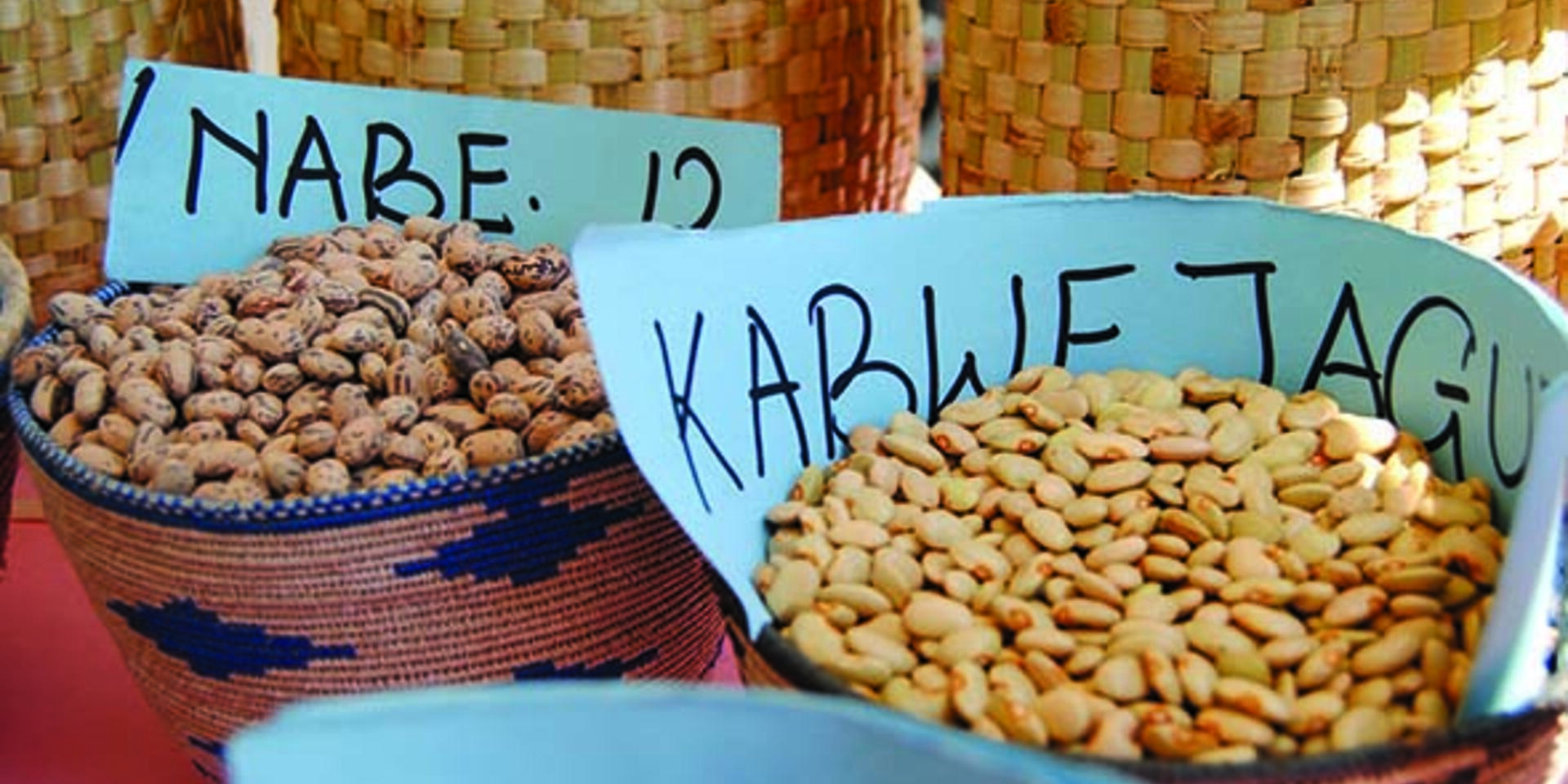 Supporting international cooperation in access and benefit sharing of germplasm for climate change adaptation