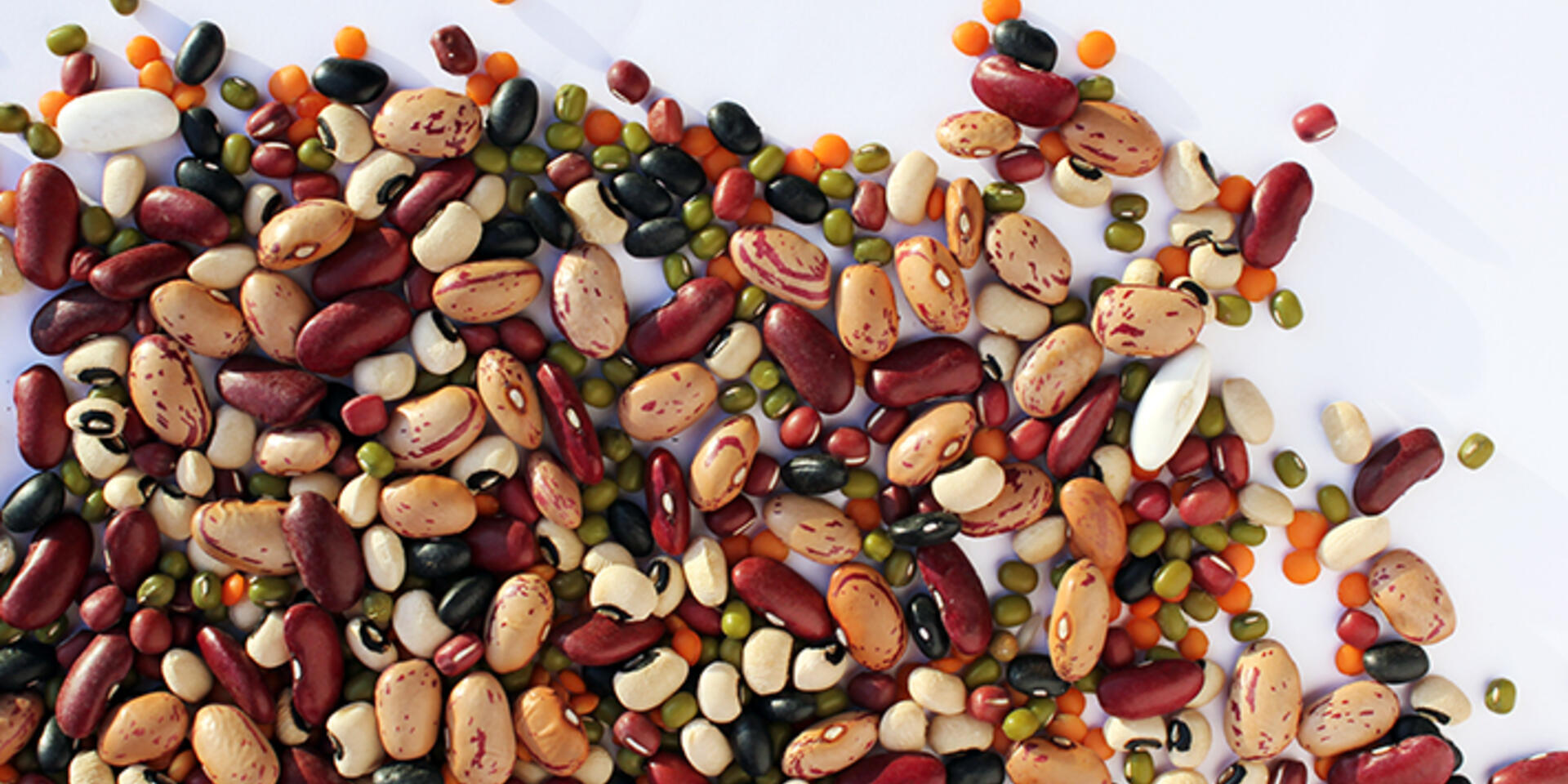 African researchers of beans, the superfood of the future, win Al-Sumait Prize