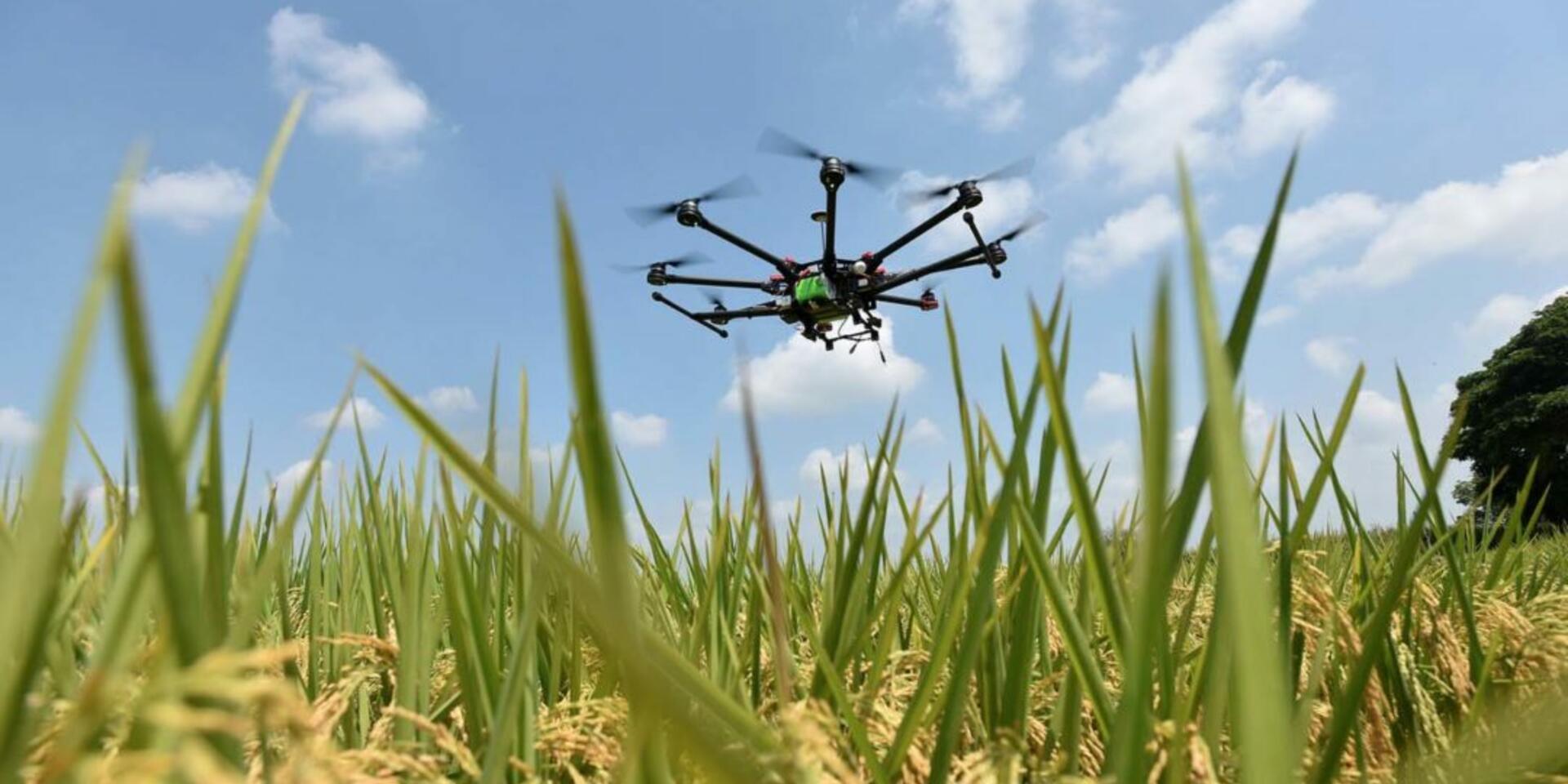 The disruption starts now: new big data program promises to shake up agriculture