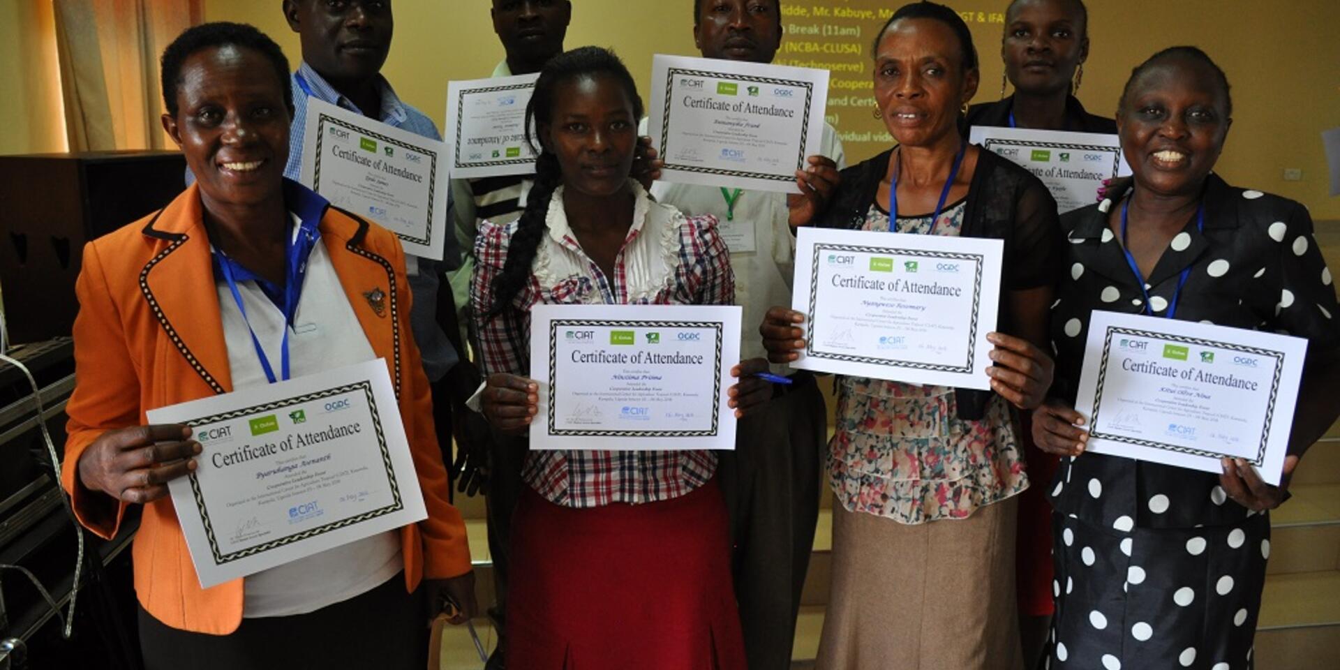 Boosting African agribusiness with a new generation of cooperatives