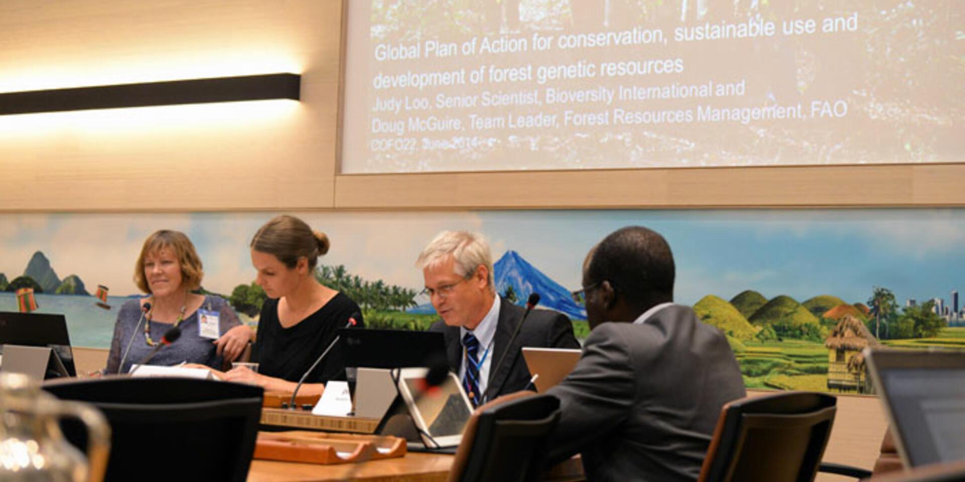 Global Plan of Action for Forest Genetic Resources highlighted in events at FAO