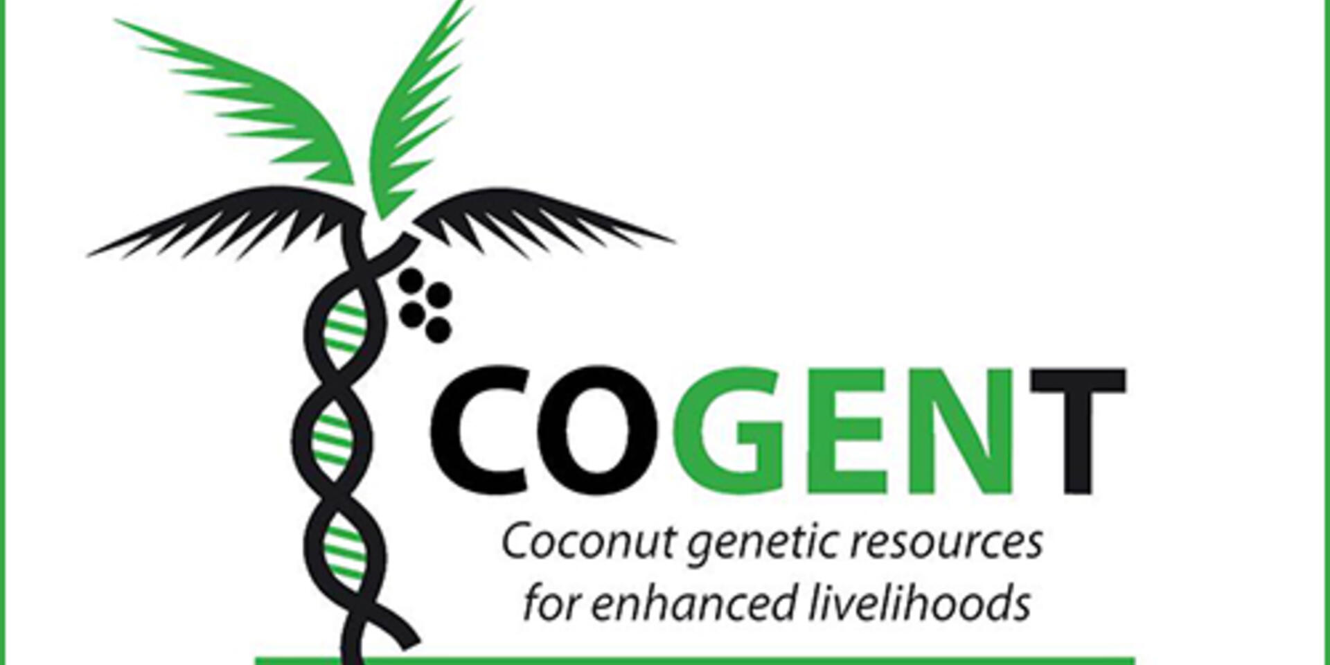 Important steps towards a global strategy for coconut conservation and use
