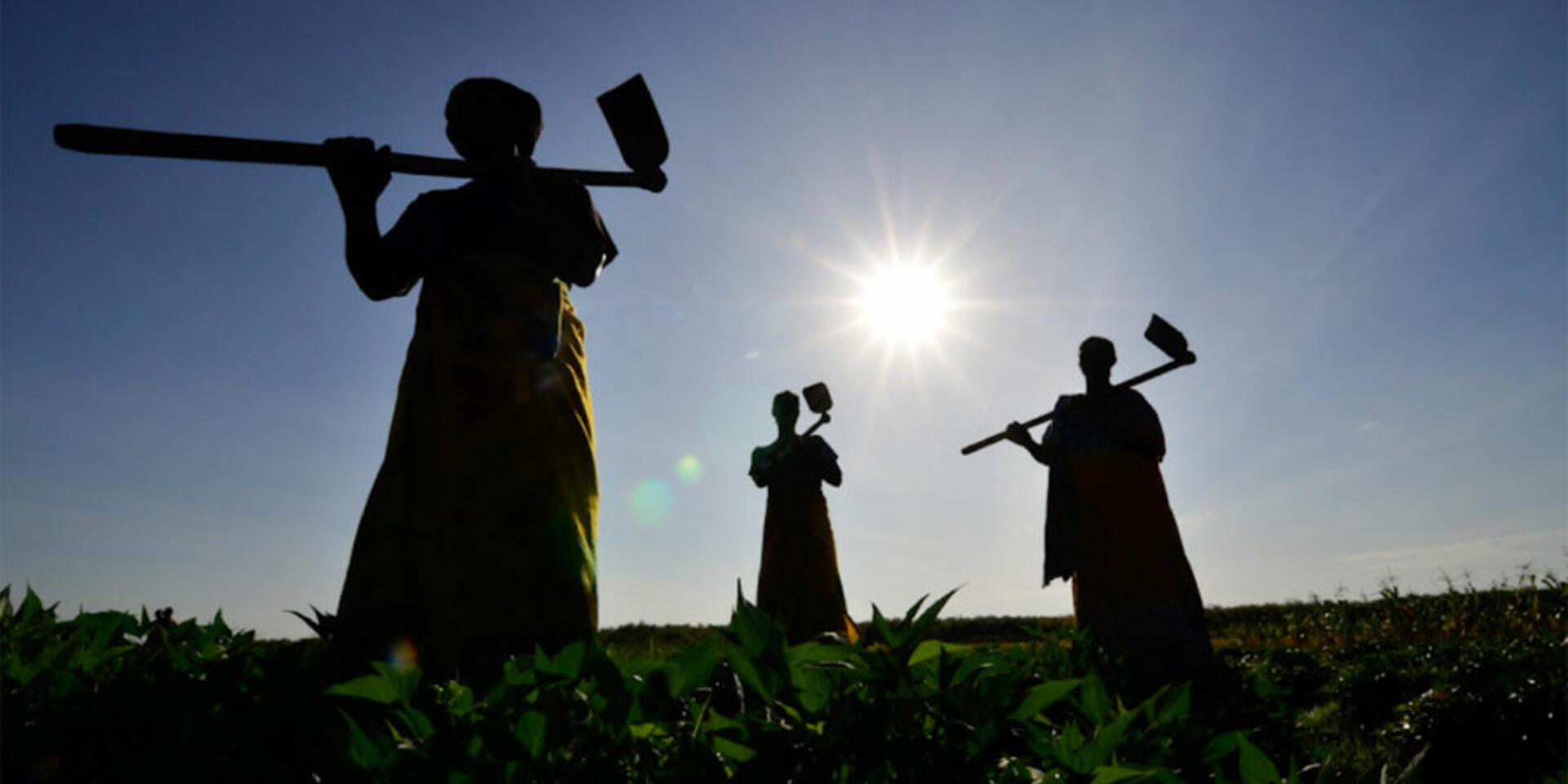Making the business case for climate-smart agriculture