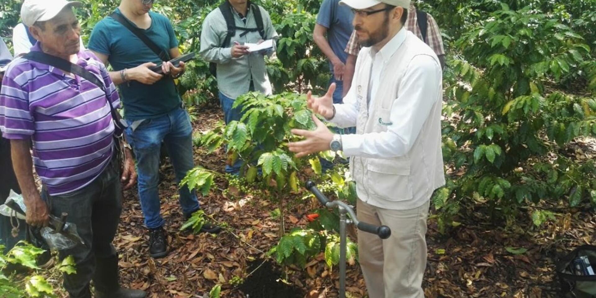 El CIAT echa &ldquo;RA&Iacute;CES&rdquo; en El Salvador
