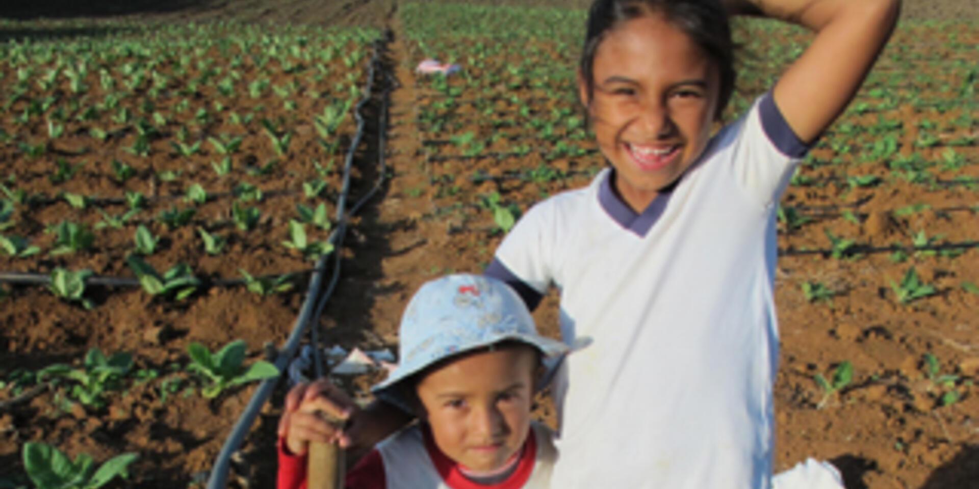 Girls crossing the desert - a reflection of an agricultural researcher