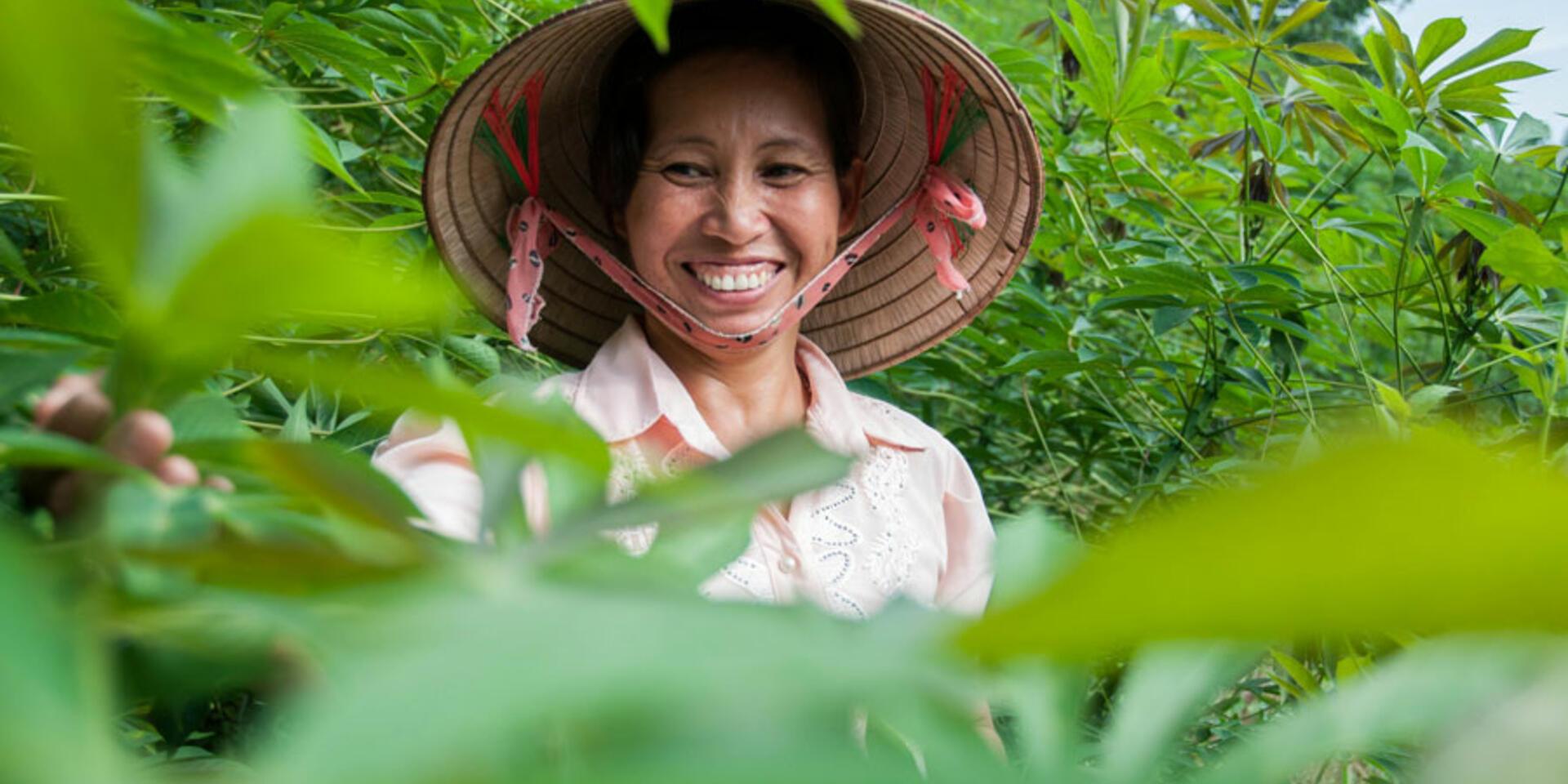 New Climate-Smart Village in Vietnam tackling climate change in agriculture