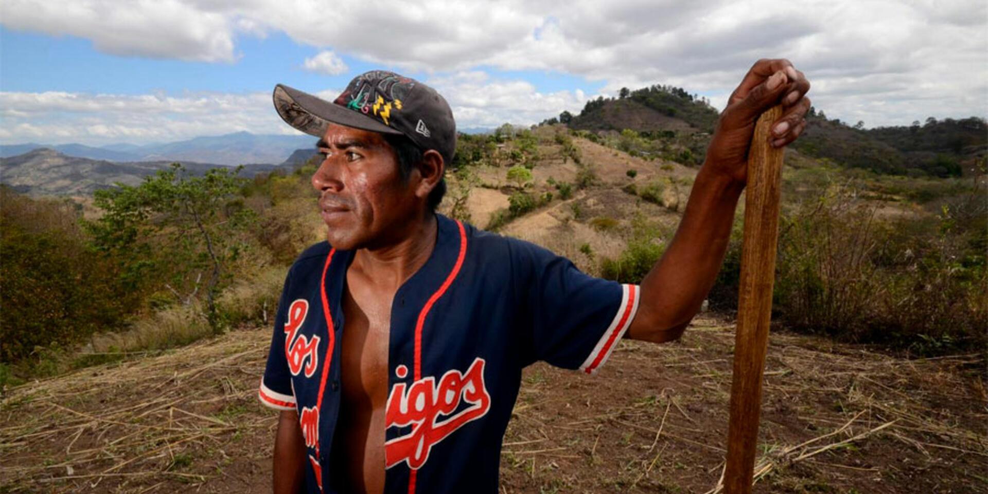 Climate change to strike at the heart of Central America's bean lands