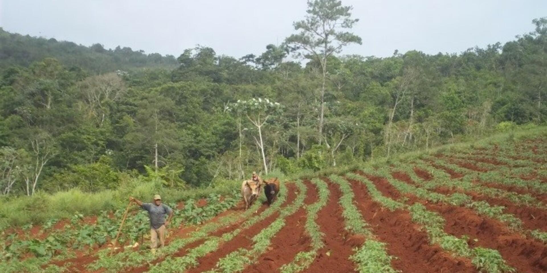 Can the coexistence of nature and agriculture lead to the conservation of biodiverse landscapes?