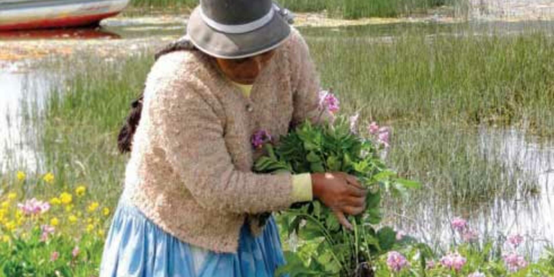 Bolivia leads the way in recognizing farmers as custodians of biodiversity