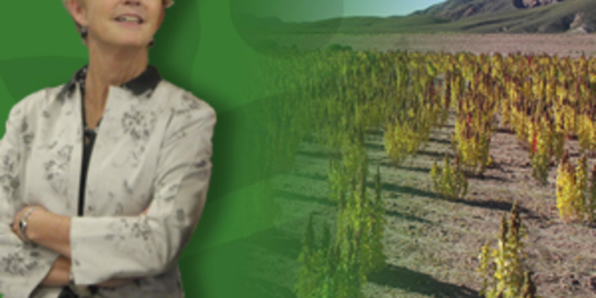 Access to Seeds &ndash; why seed companies need to bridge the gap to reach smallholder farmers