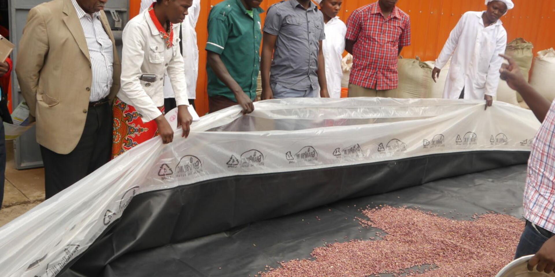 First solar-powered "bubble" driers promise more nutritious bean flour &ndash; and better prices for farmers