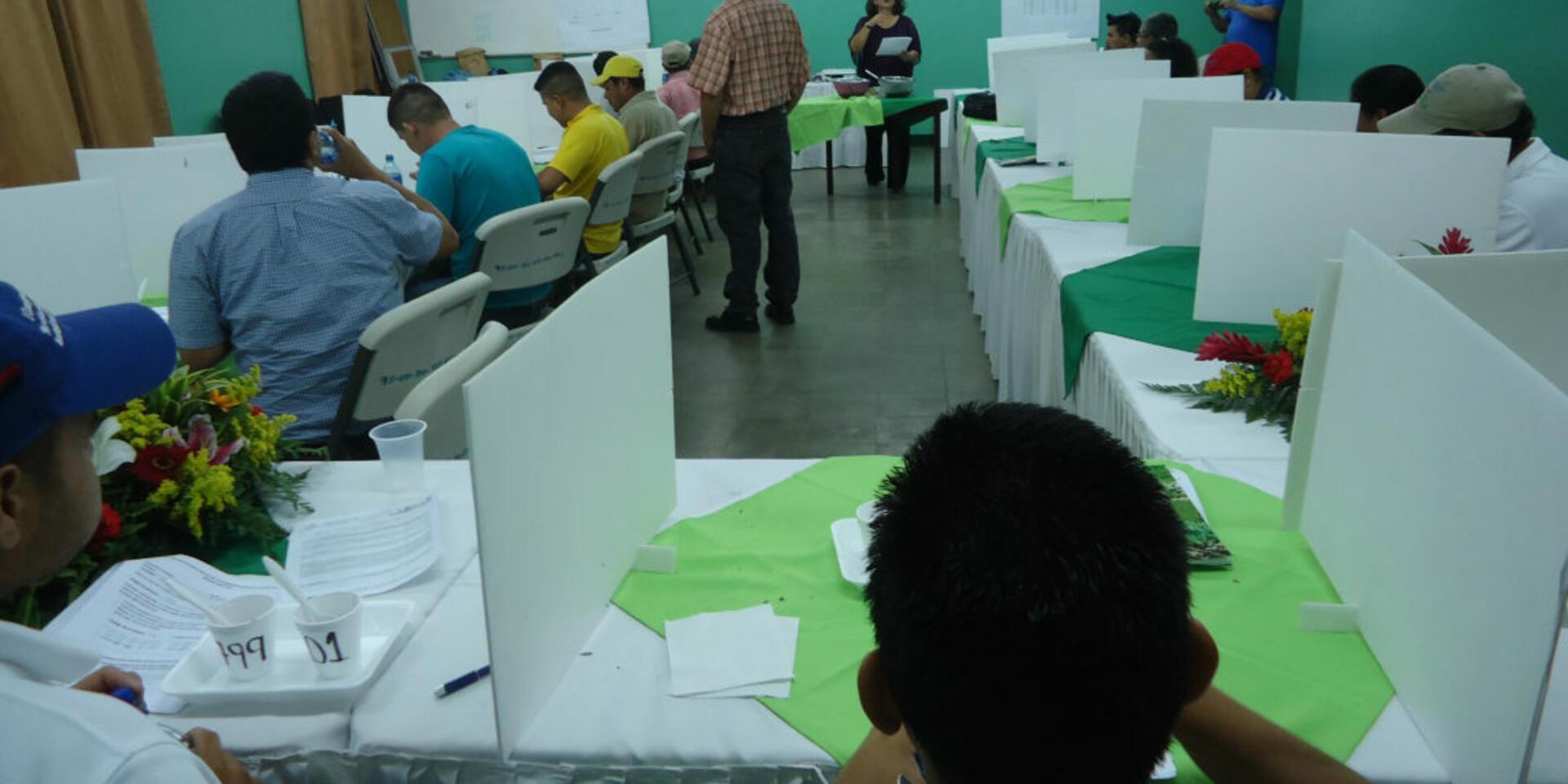 HarvestPlus realiza capacitaci&oacute;n sobre evaluaci&oacute;n sensorial de alimentos biofortificados en Nicaragua