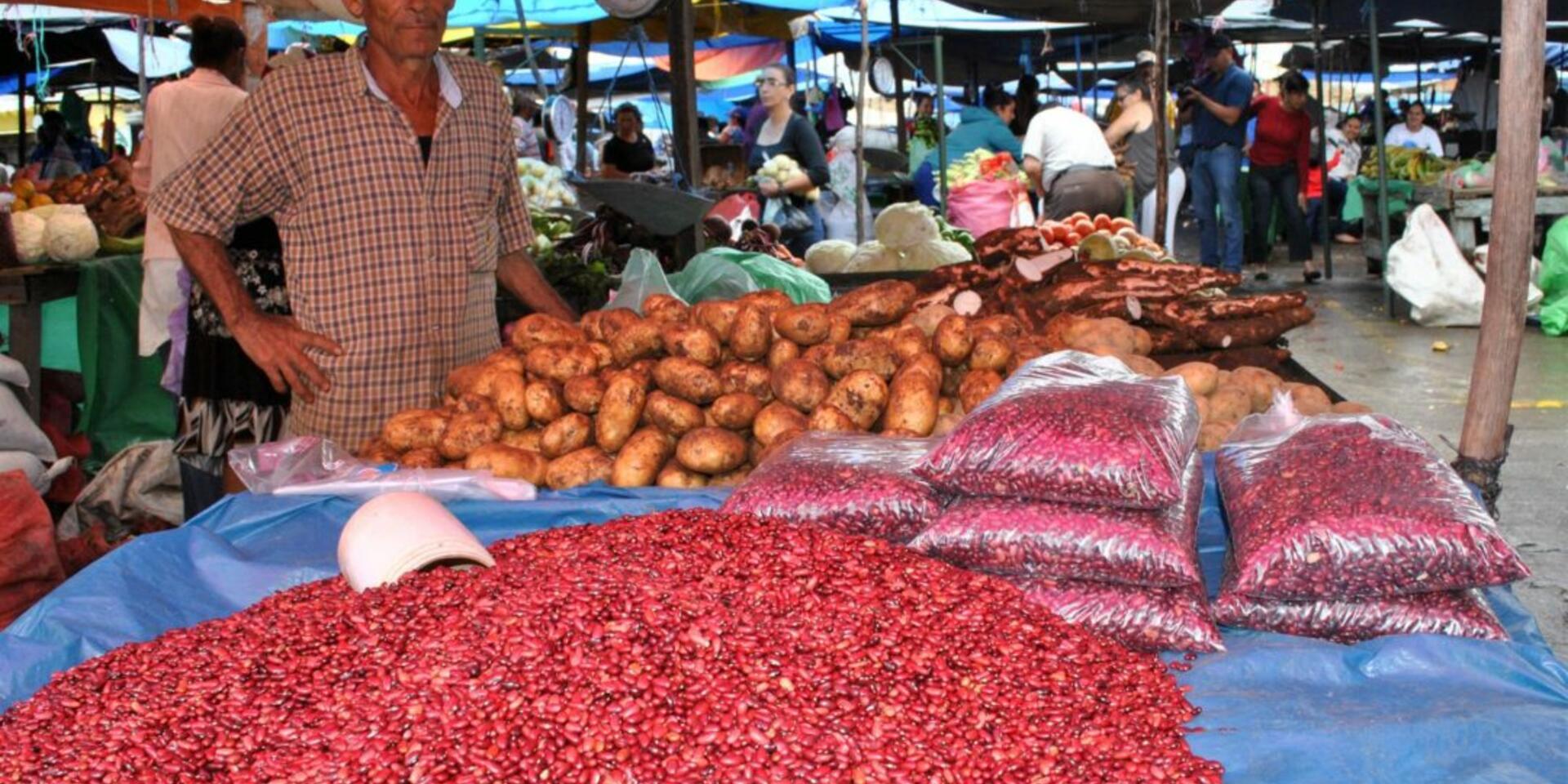 &iquest;Qu&eacute; pueden aprender Cali, Quito y Medell&iacute;n de sus sistemas alimentarios?