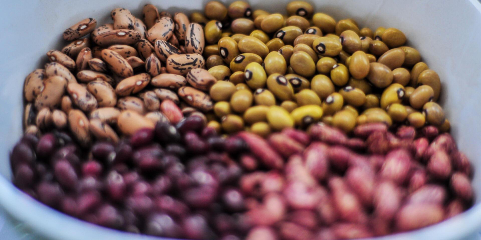 The business of quick-cook beans