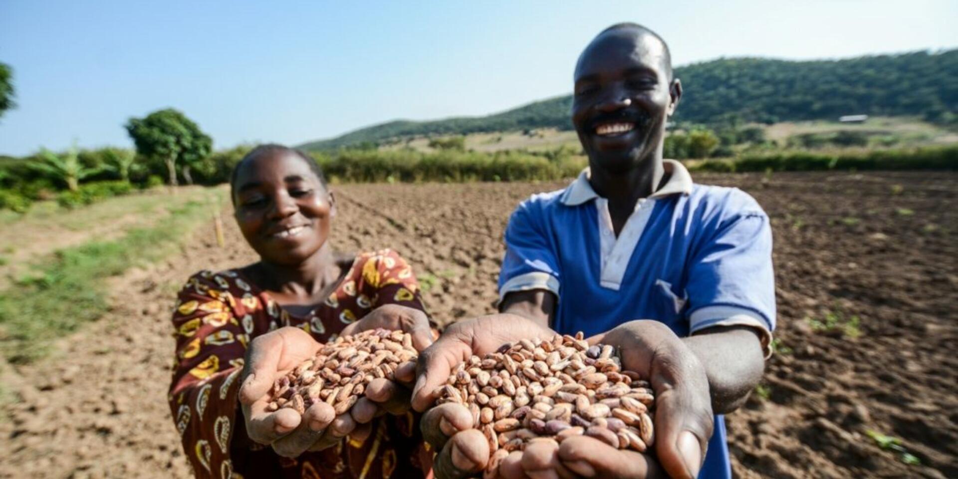 Bean power: Finger on the pulse of a drought-resilient future