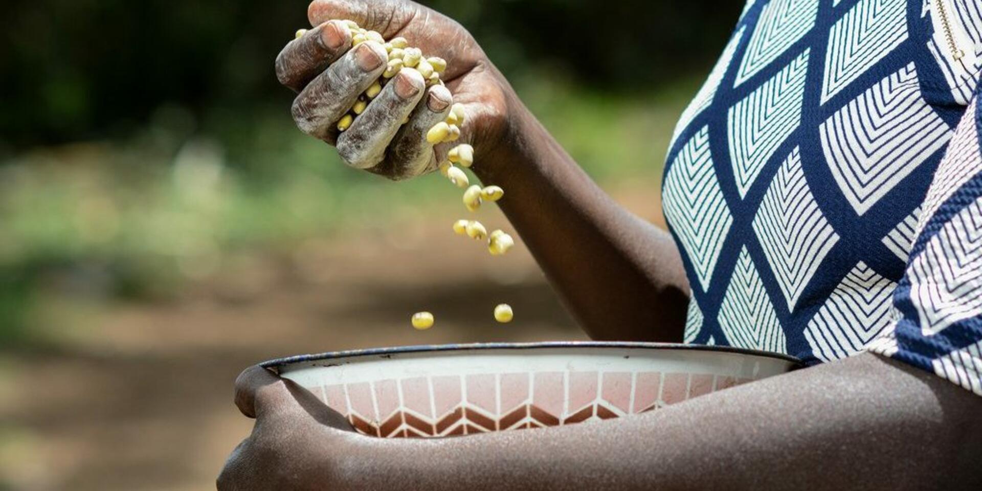 Solving hunger and malnutrition in Africa requires business, governments, social justice