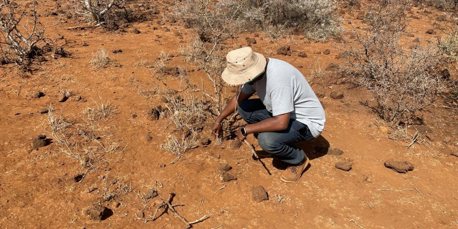 Borana pastoralist struggling to survive under the recurrent drought in Ethiopia