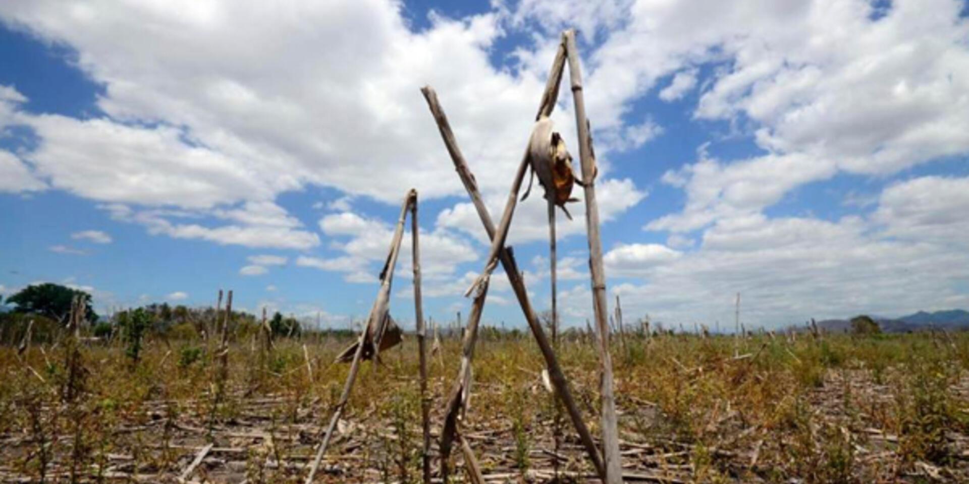 Treating drought like other natural disasters in Guatemala