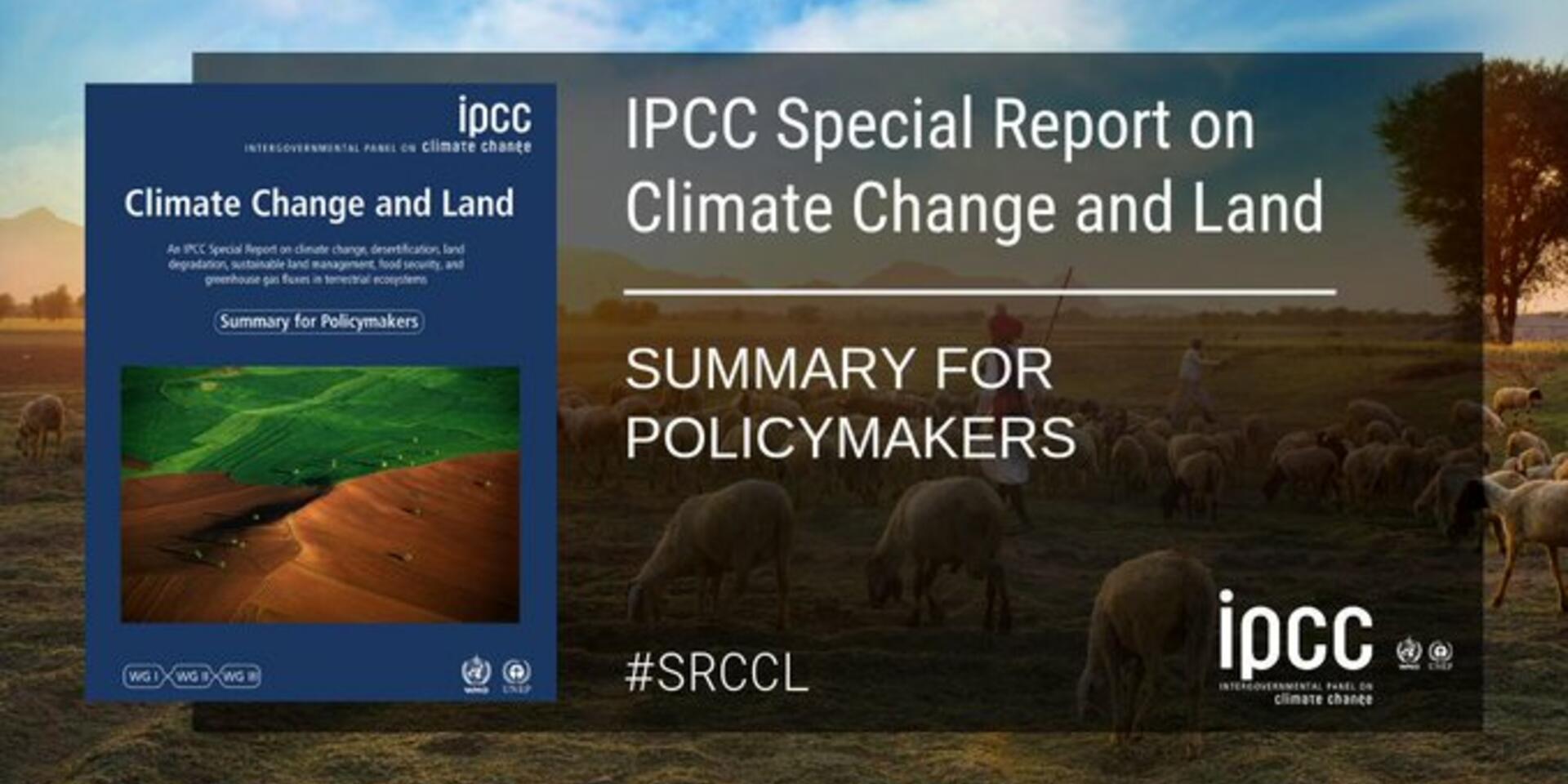 &ldquo;We are receiving a free subsidy from nature, but it will not continue indefinitely&rdquo; &ndash; Louis Verchot