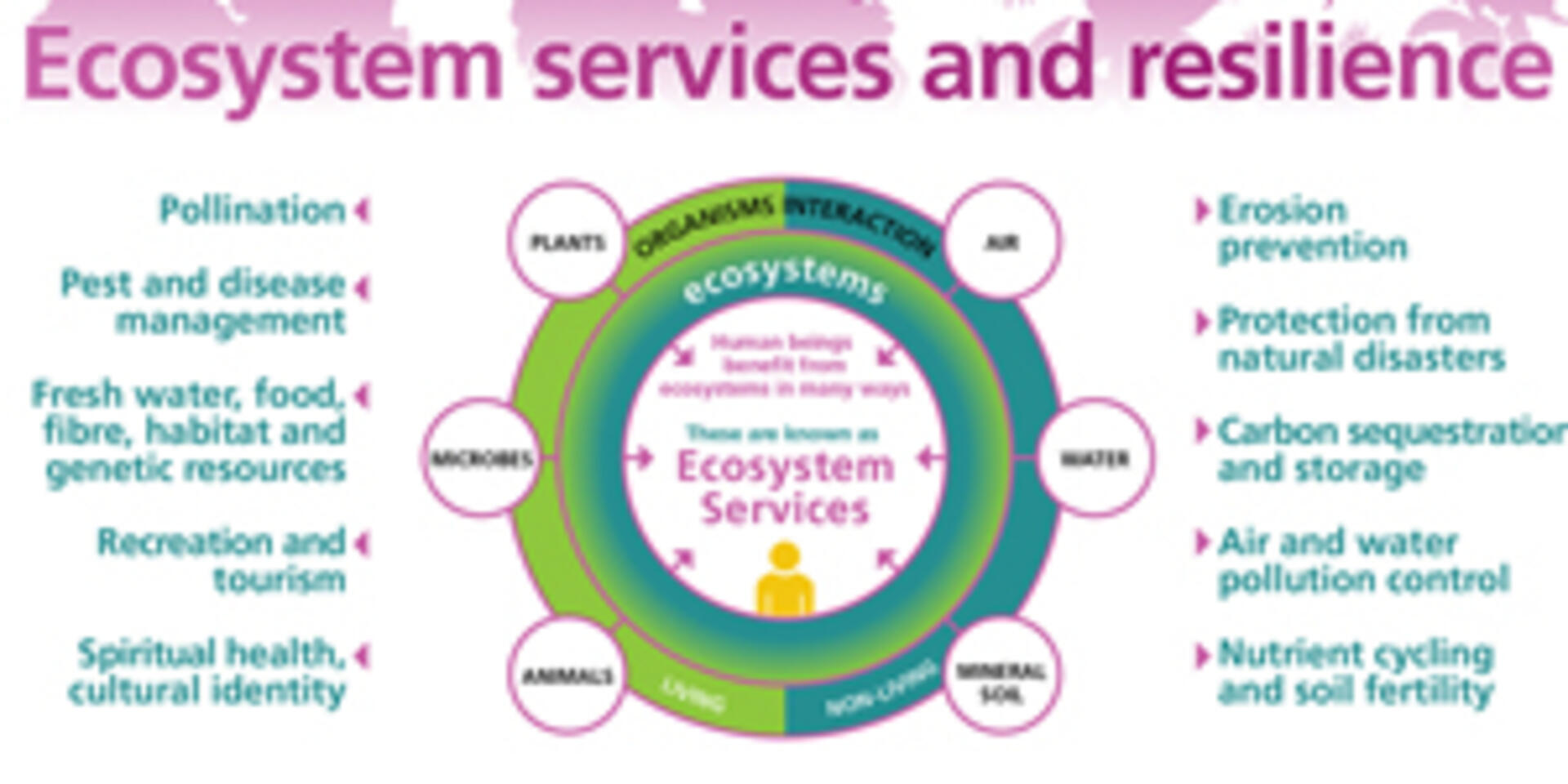 Ecosystem services and resilience