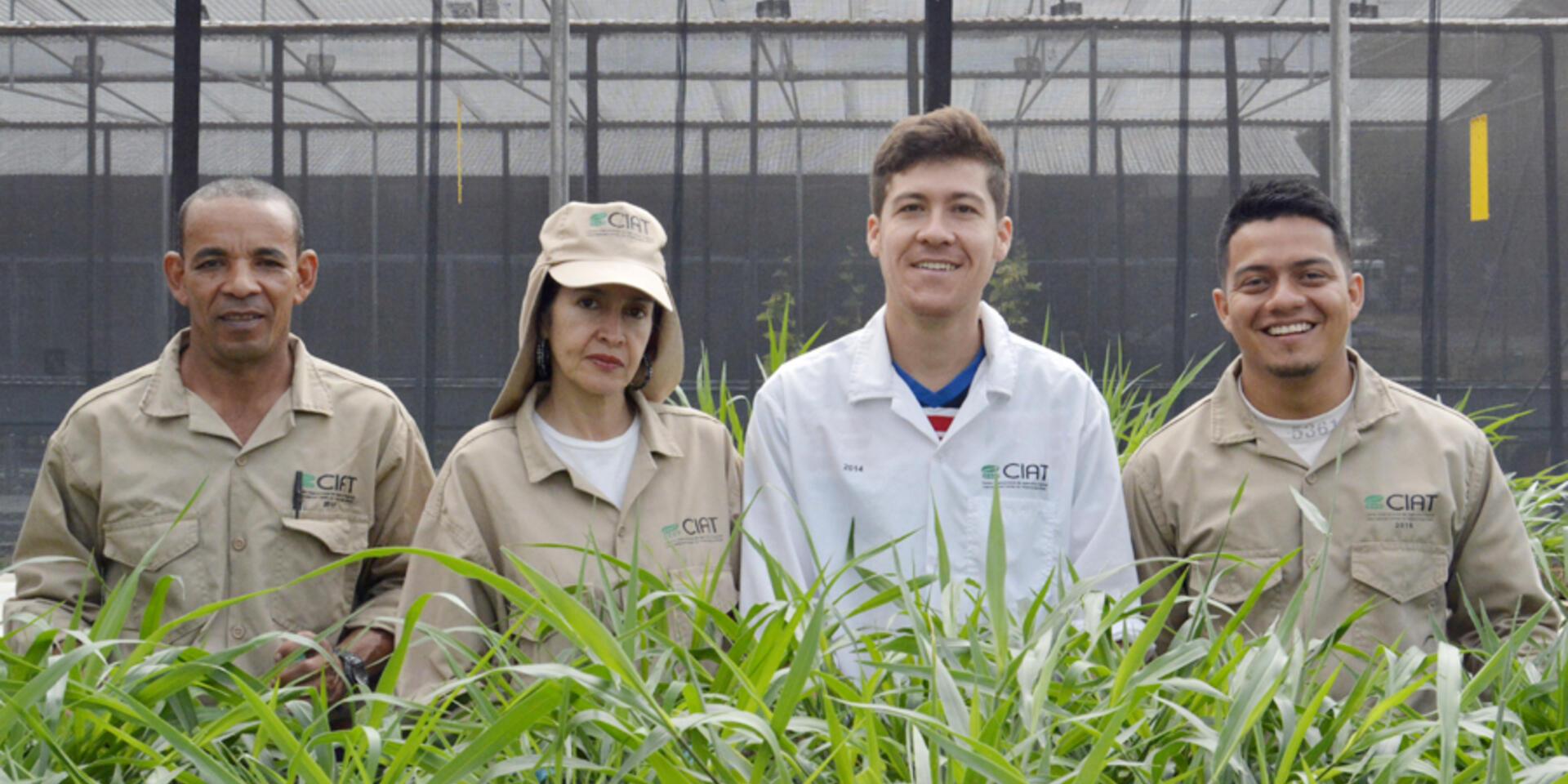 4 d&eacute;cadas de innovaci&oacute;n en el laboratorio de entomolog&iacute;a y patolog&iacute;a de forrajes