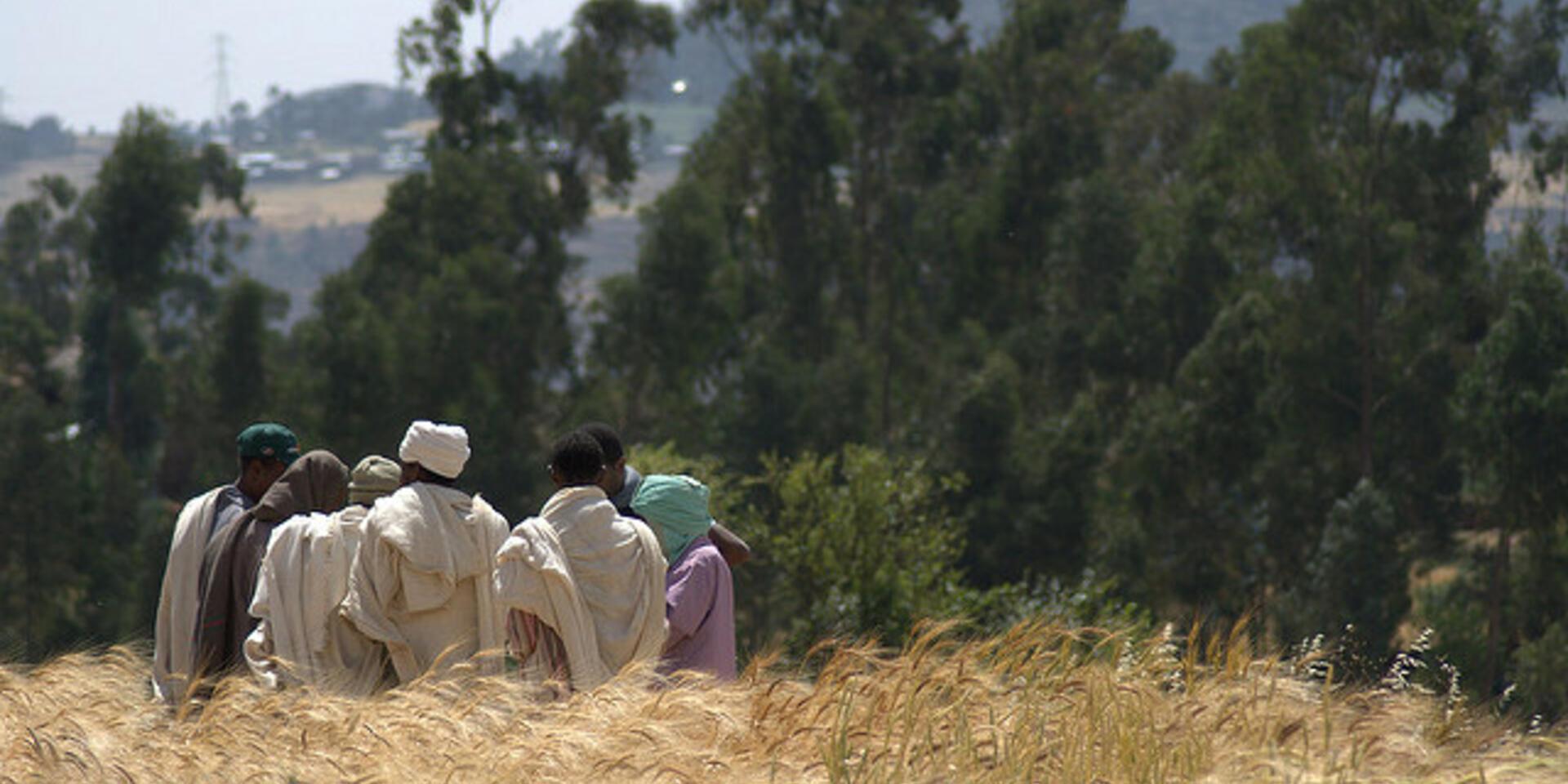 Ethiopian farmer communities &ndash; from citizen scientists to published authors