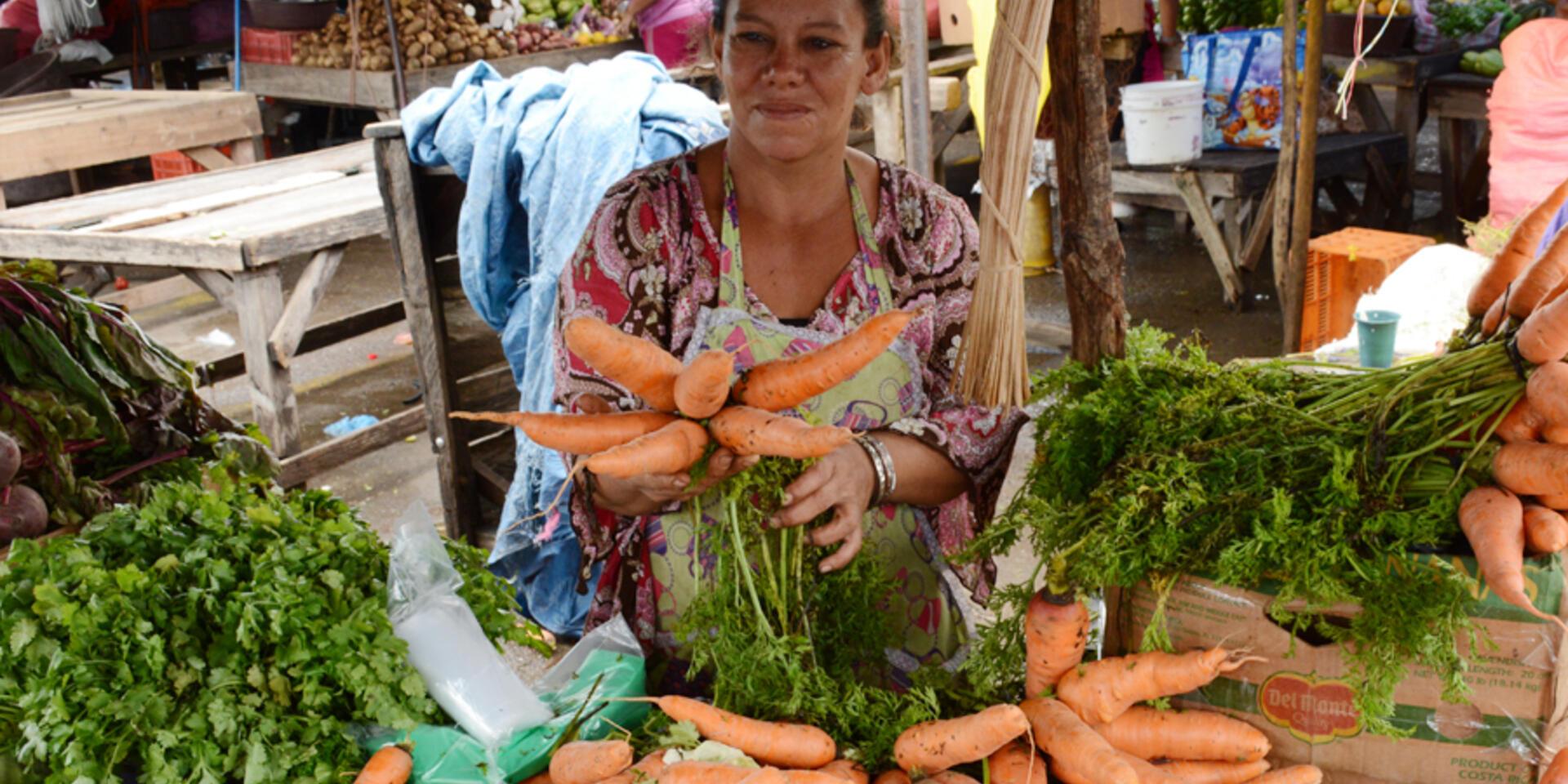 Sustainable Food Systems: Agriculture-Nutrition Linkages