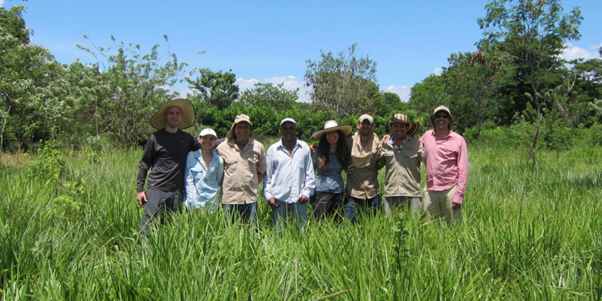 Forage technologies to reduce the environmental impact of Colombian livestock production