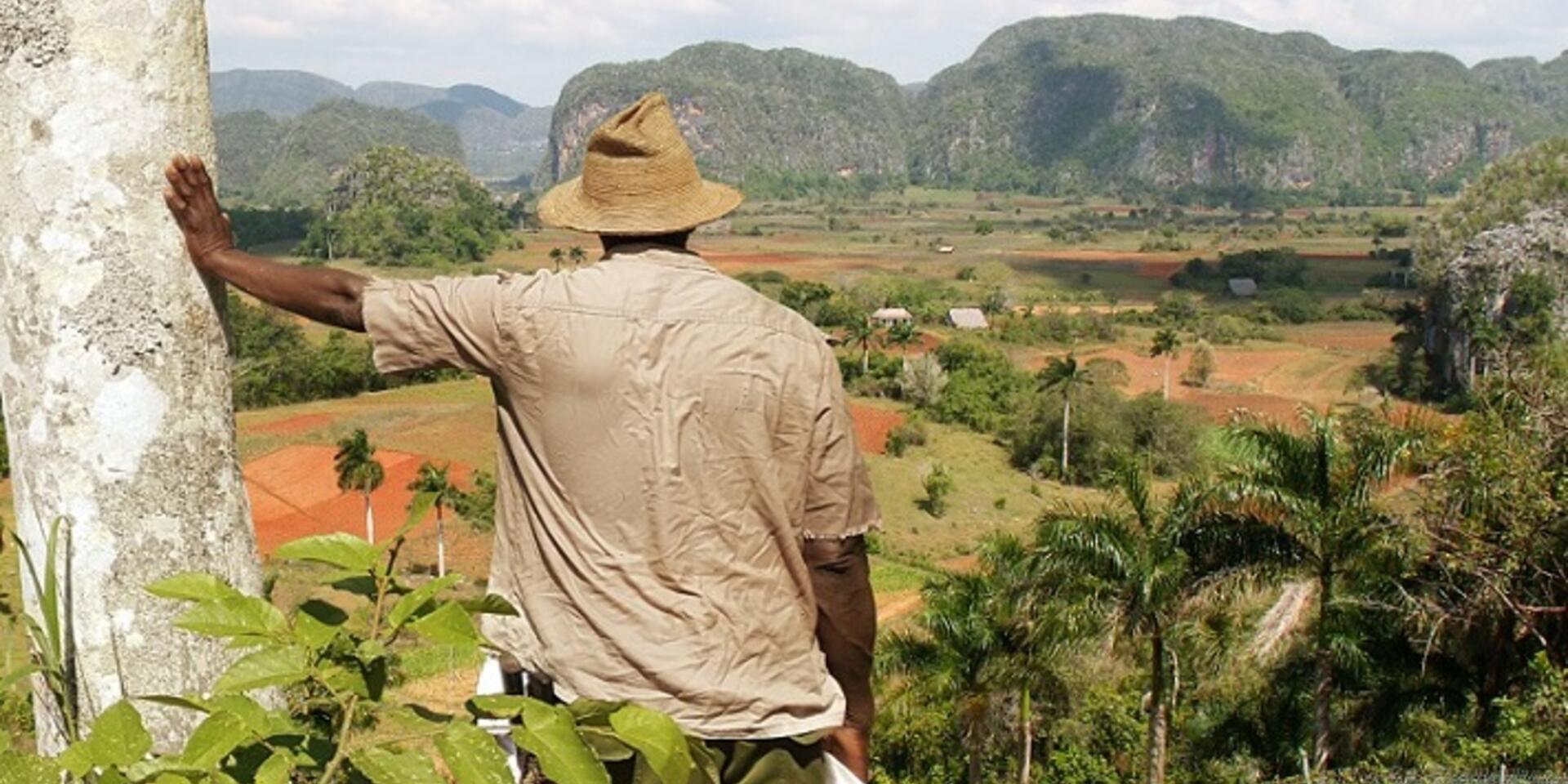 New Index outlines agrobiodiversity&rsquo;s role in food system sustainability