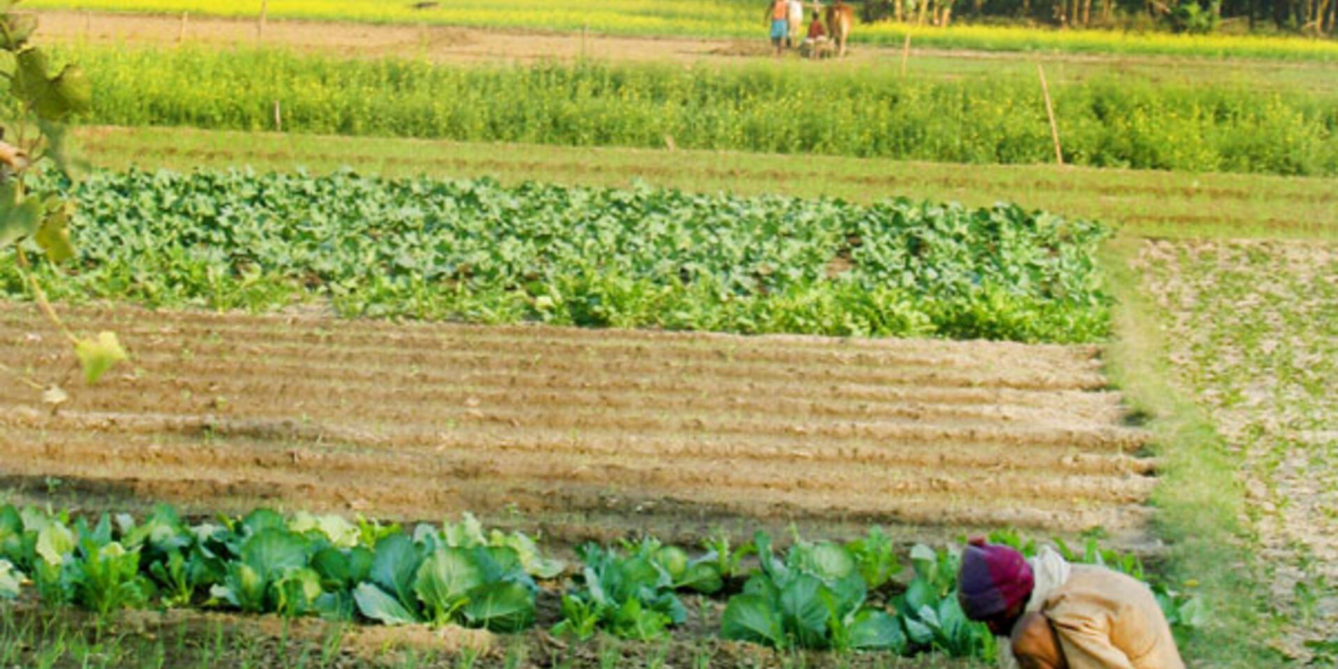 Workshop to address access and benefit-sharing systems