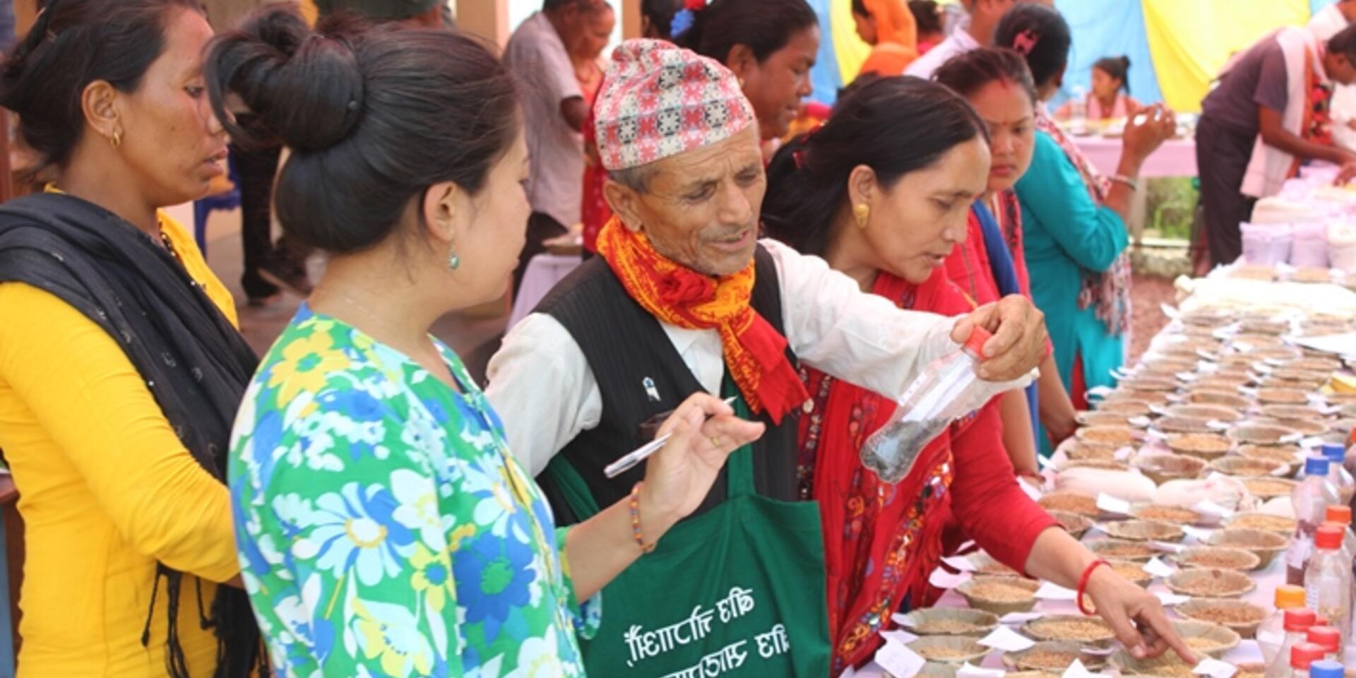 Nepali community seedbanks join forces to conserve agrobiodiversity