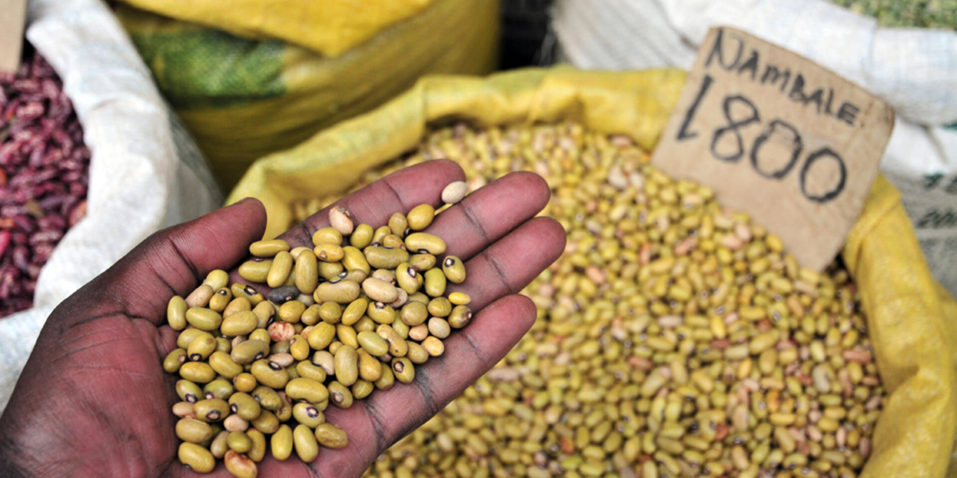 Sistemas alimentarios insostenibles: &iquest;podemos revertir las tendencias actuales?