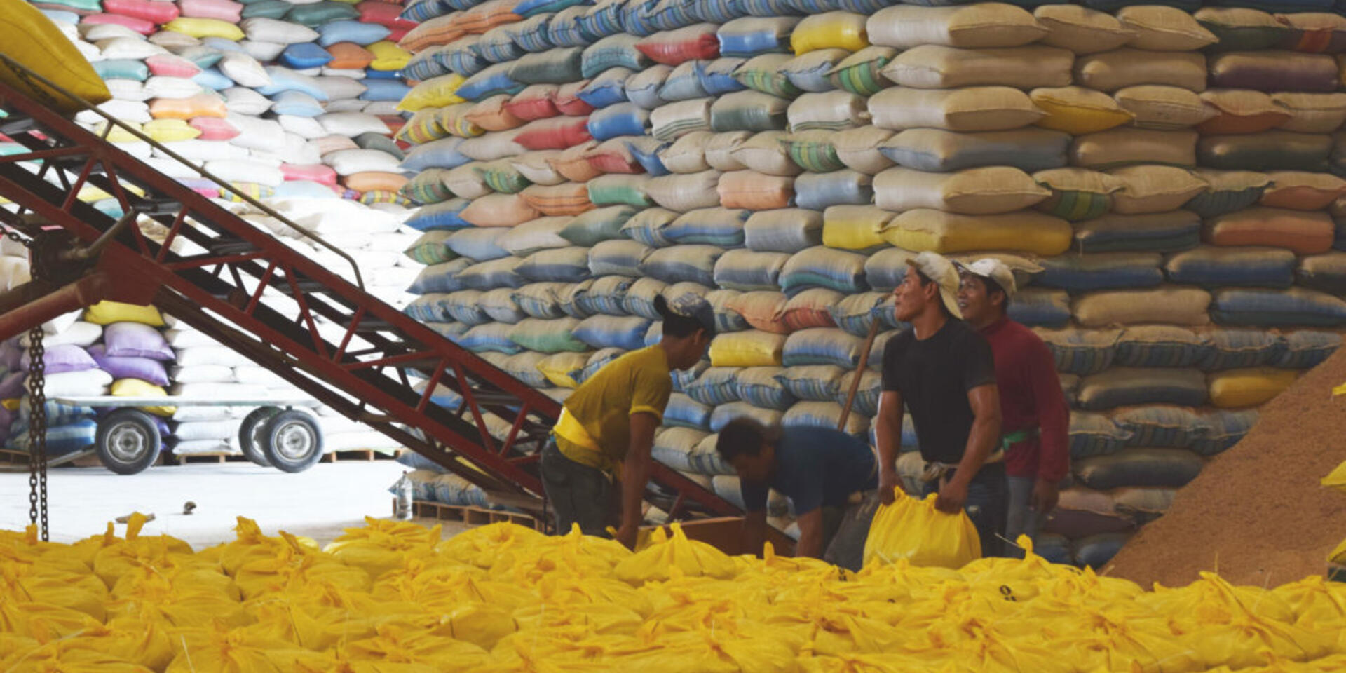 La pandemia del COVID-19: Una oportunidad para el sector arrocero de Am&eacute;rica Latina