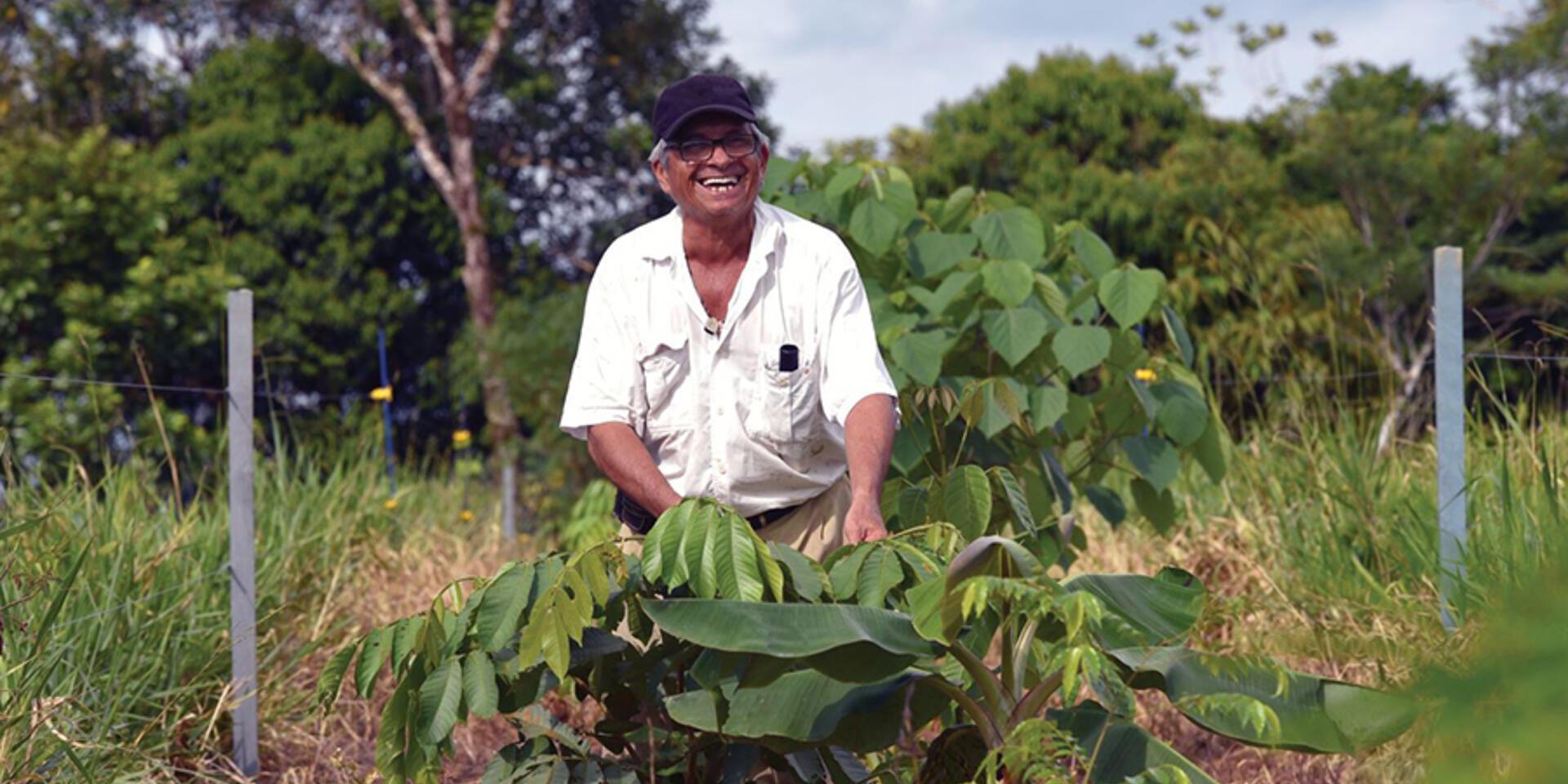 Sustainable land use systems: A way to help achieve Colombia&rsquo;s climate change mitigation and peacebuilding goals