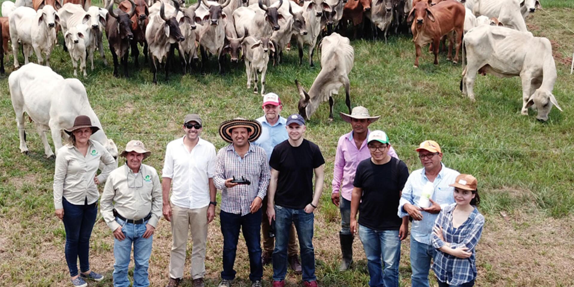 Multilayered information to improve livestock production systems in Colombia