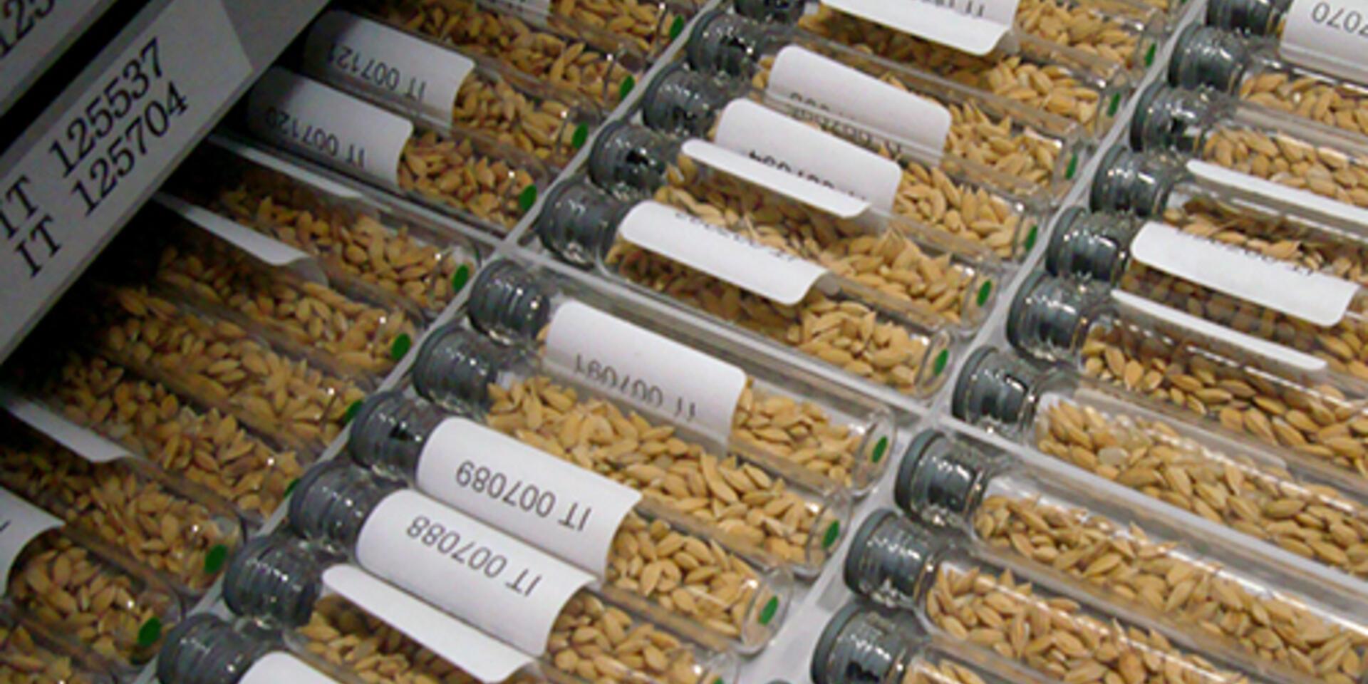 International e-Conference on Germplasm Data Interoperability