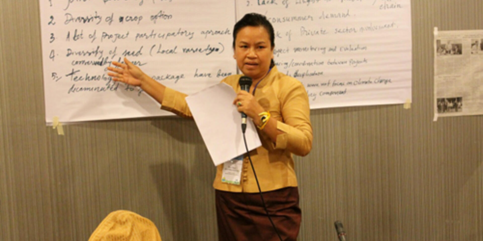 Crop diversification strategies for Cambodia, Laos and Vietnam