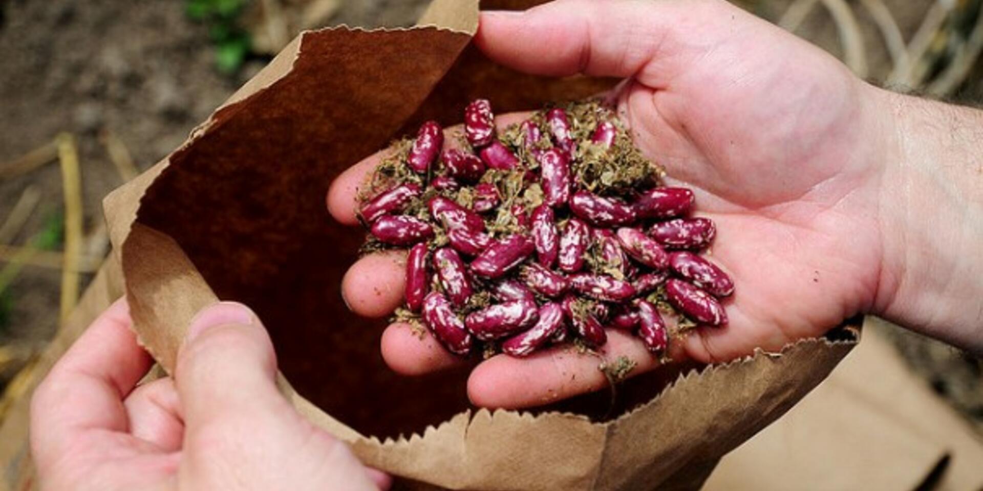 A farmer's dilemma: To sell or to eat?