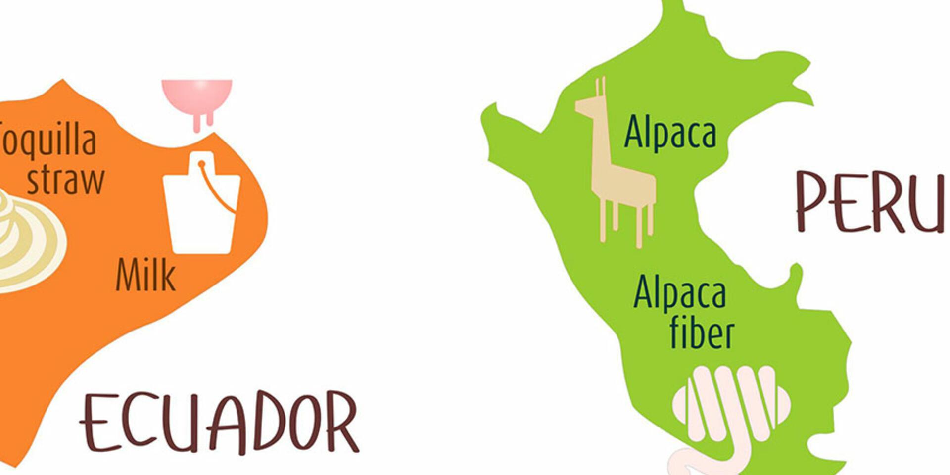 LINK finds an echo with Heifer teams in South America and other regions