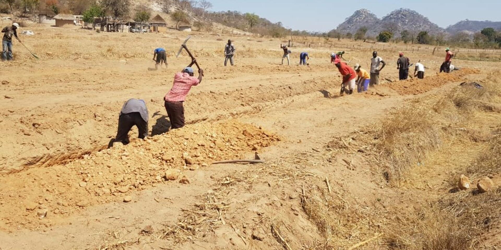 No soil left behind: How a cost-effective technology can enrich poor fields
