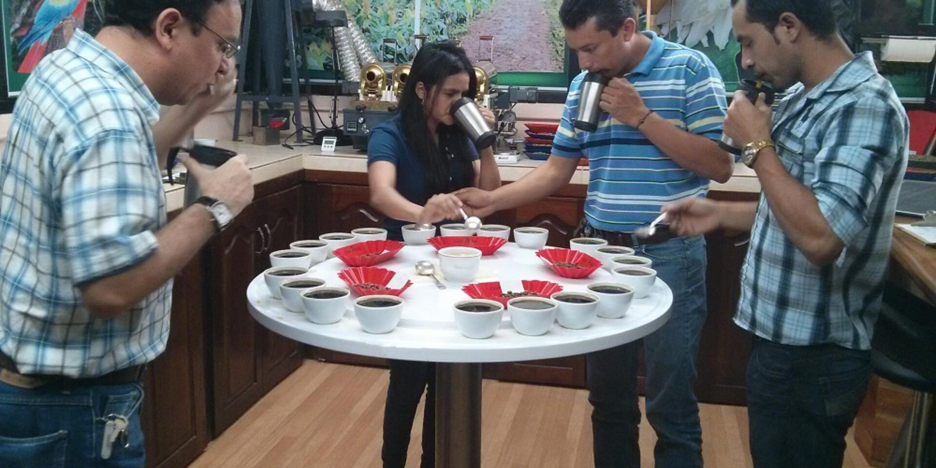 Fair Trade Coffee&rsquo;s Aftertaste