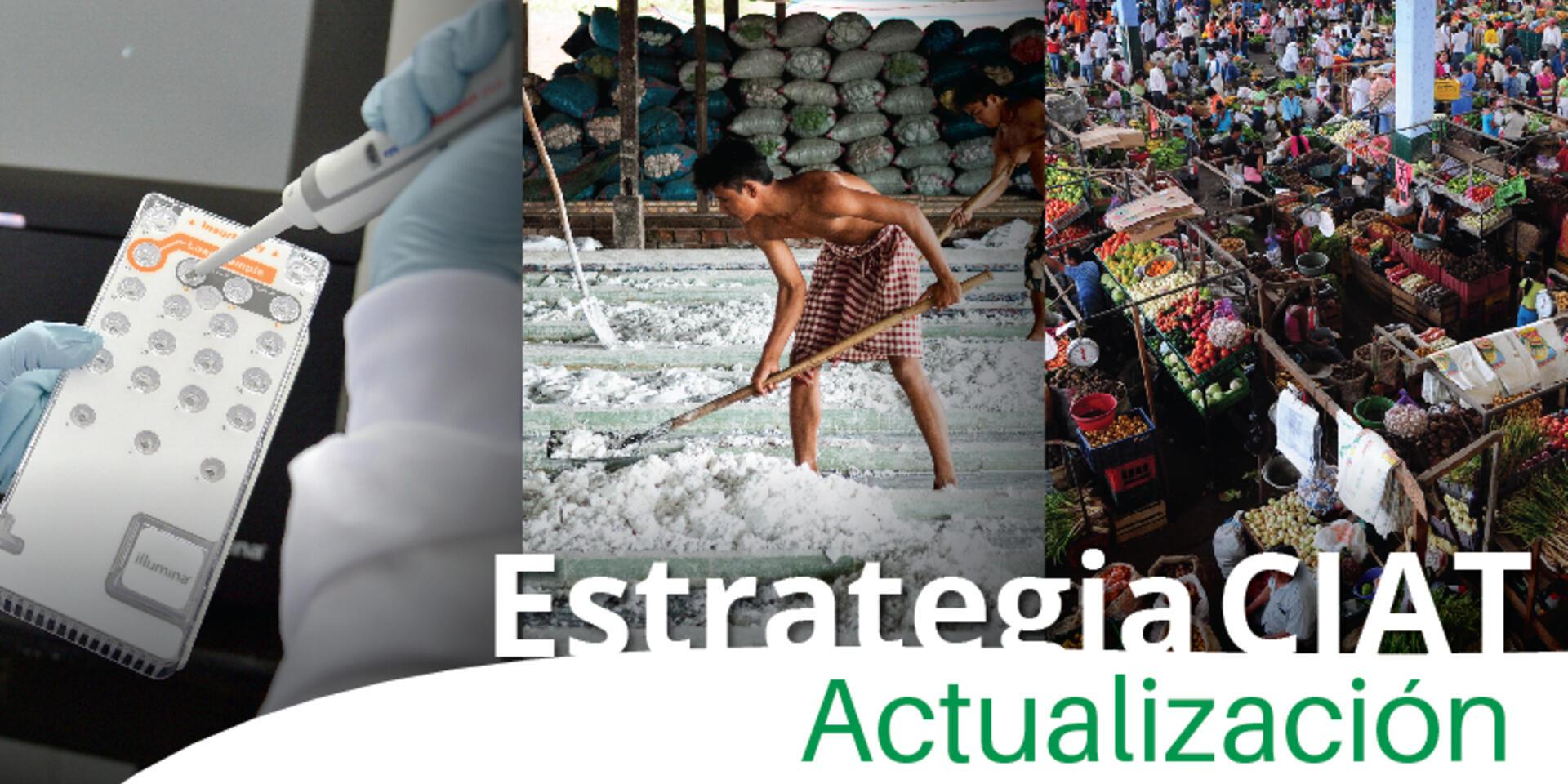 El CIAT actualiza su Estrategia para 2018&ndash;2020