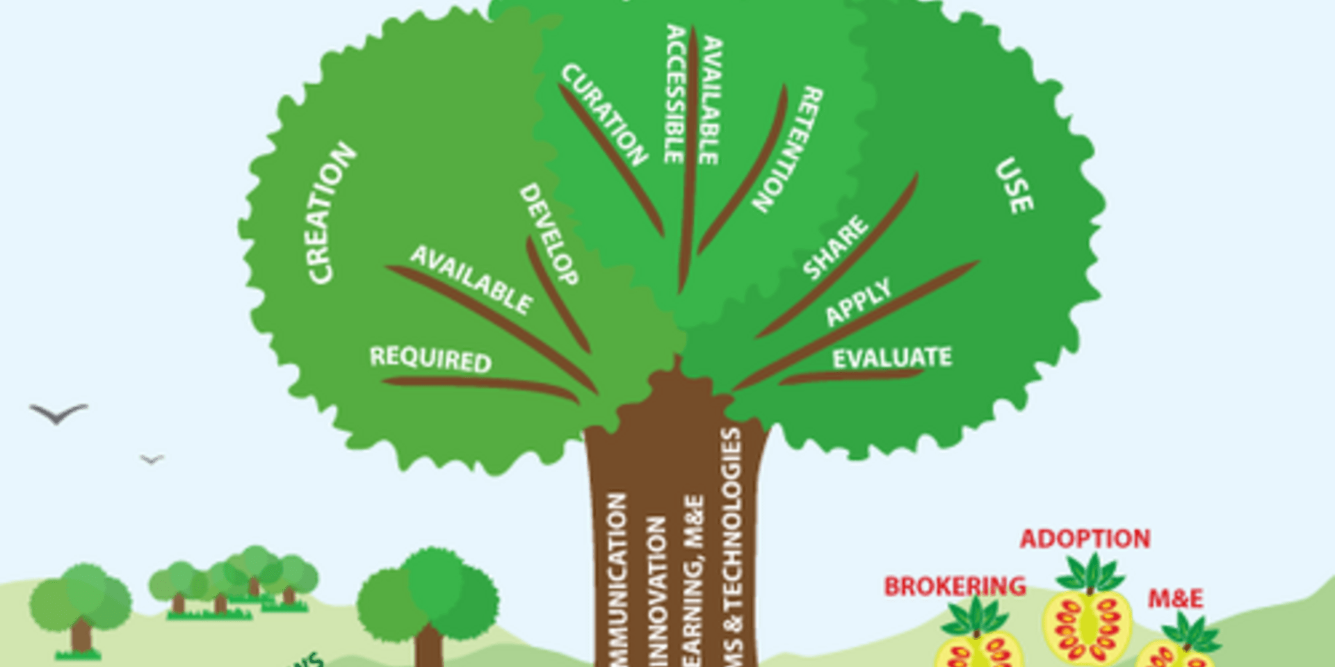 CTA and CIAT to partner with the Pan-African Bean Alliance on knowledge management