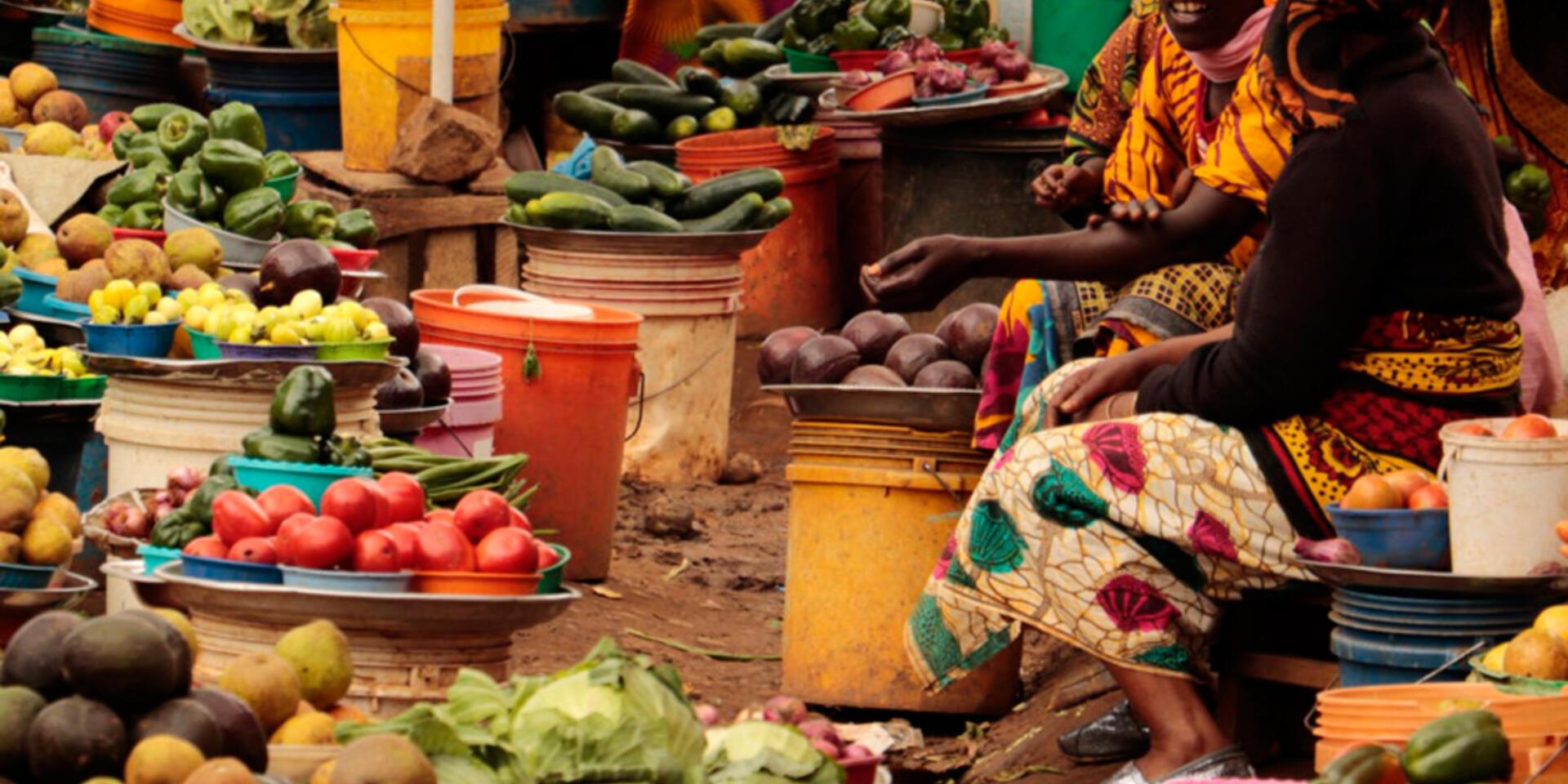 How much do countries benefit from one another&rsquo;s crop diversity?