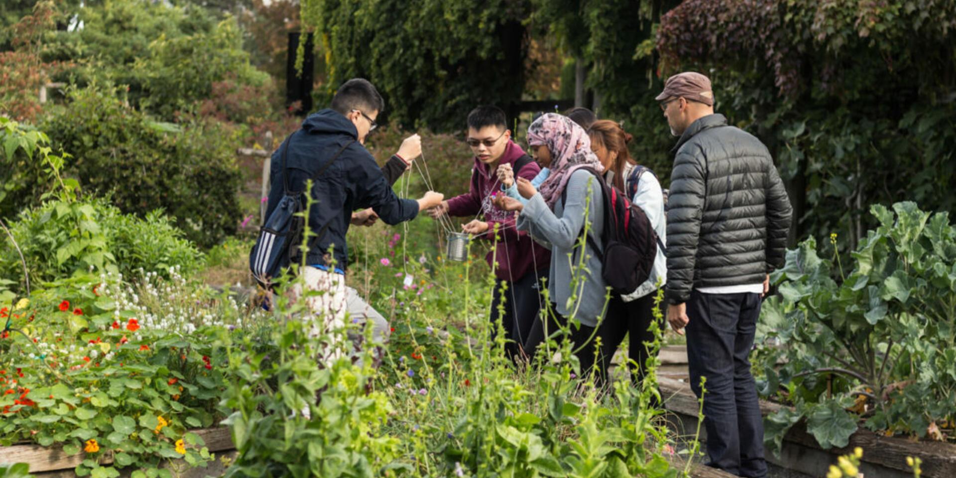 To save biodiversity and feed the future, first cure &ldquo;plant blindness&rdquo;