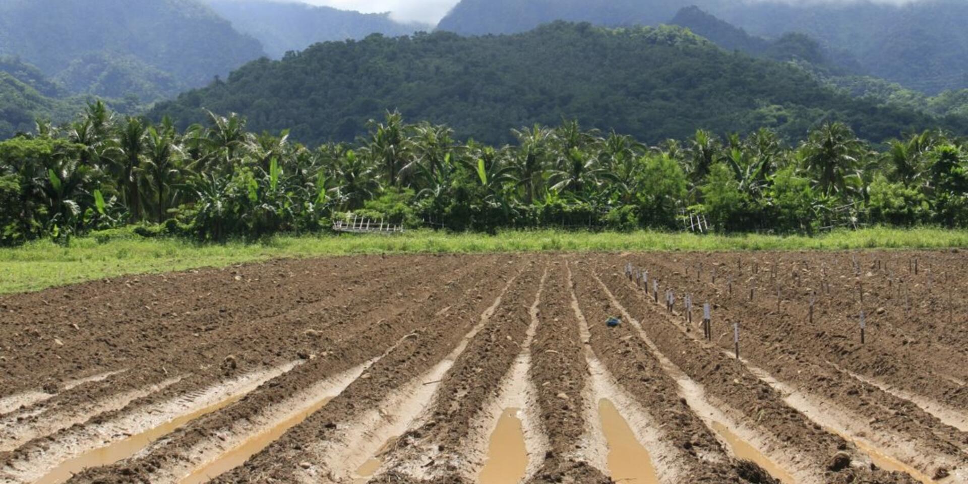 Asia-Pacific countries identify priority action to build resilience of agriculture to natural disasters