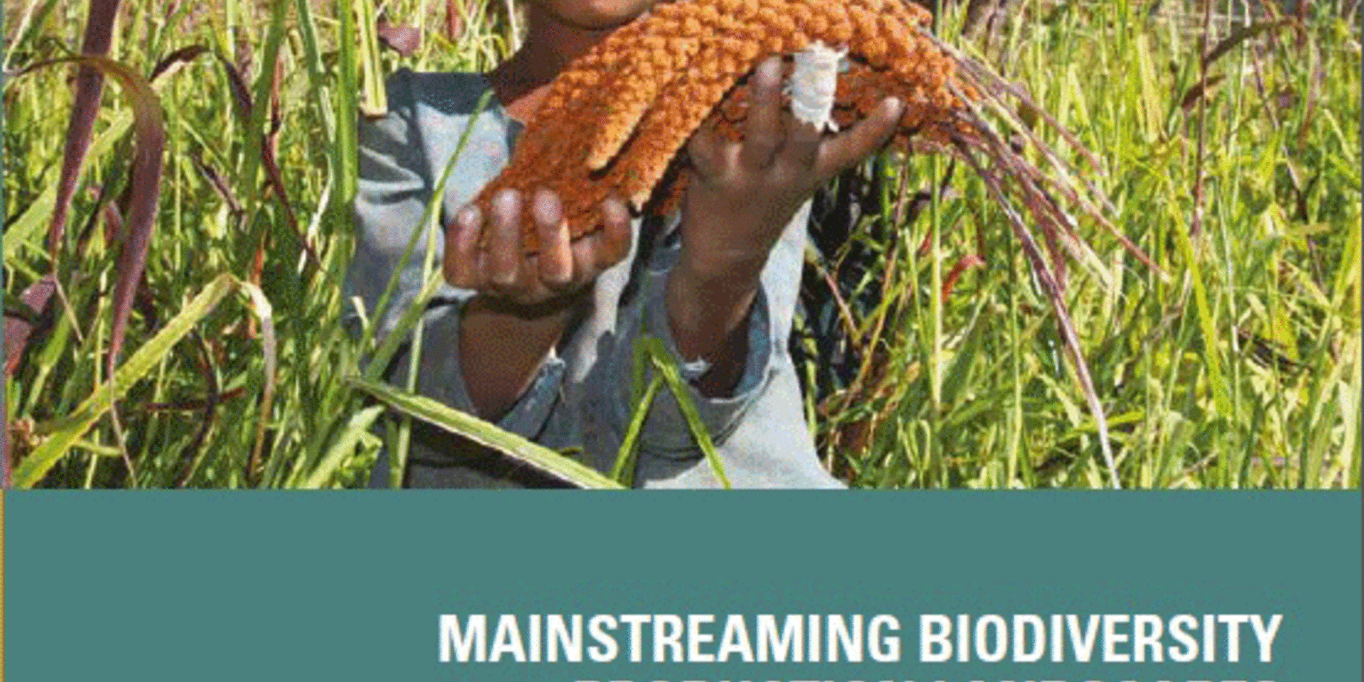 Mainstreaming Biodiversity in Production Landscapes